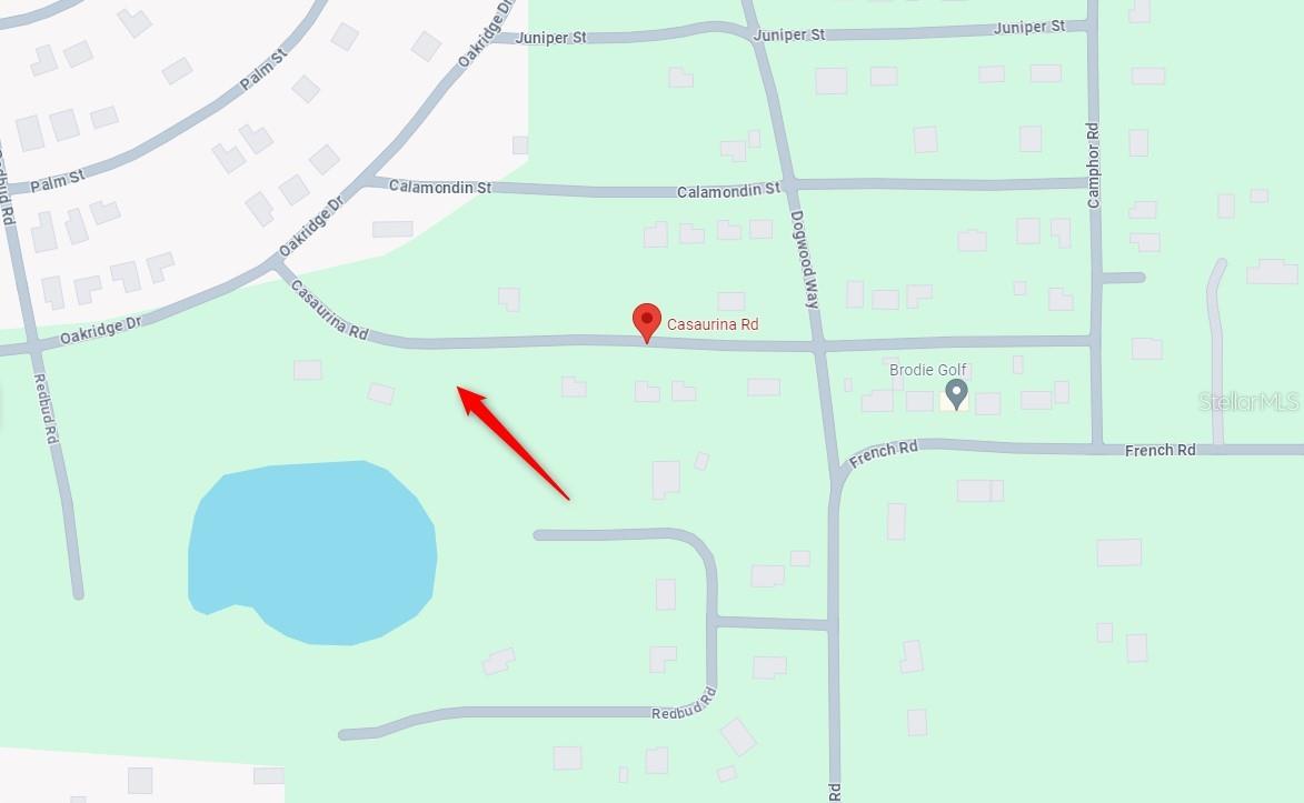 4346 CASAURINA RD, LADY LAKE, FL, 32159