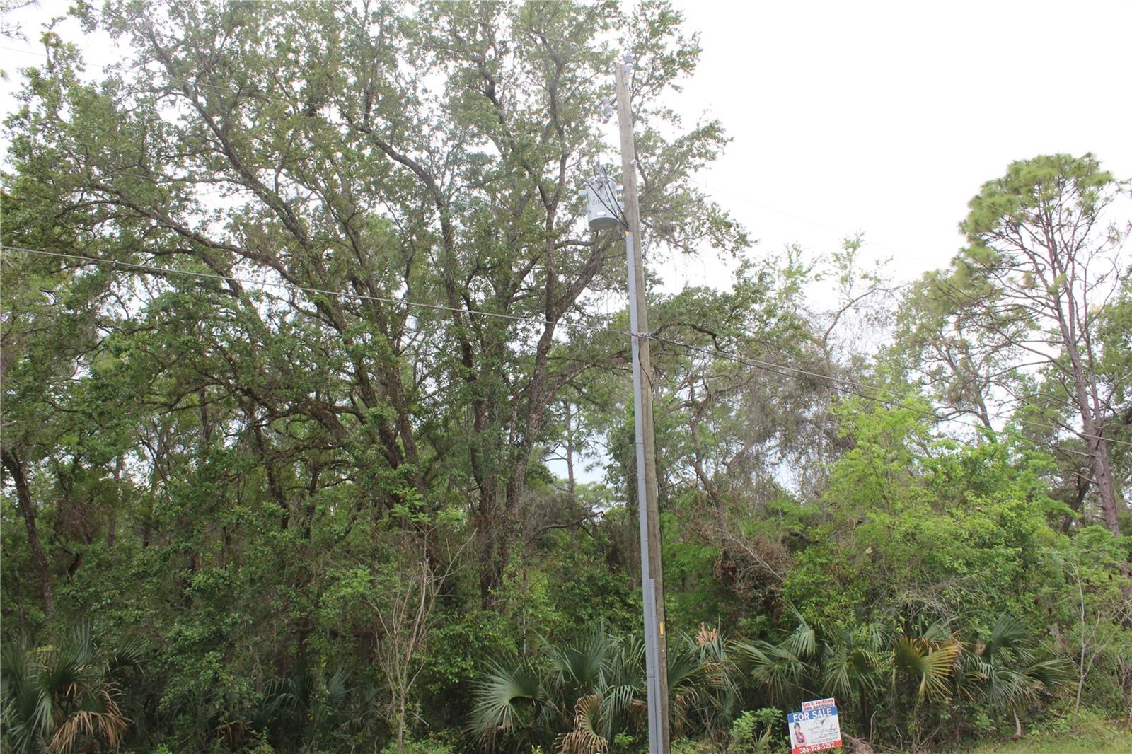 4346 CASAURINA RD, LADY LAKE, FL, 32159