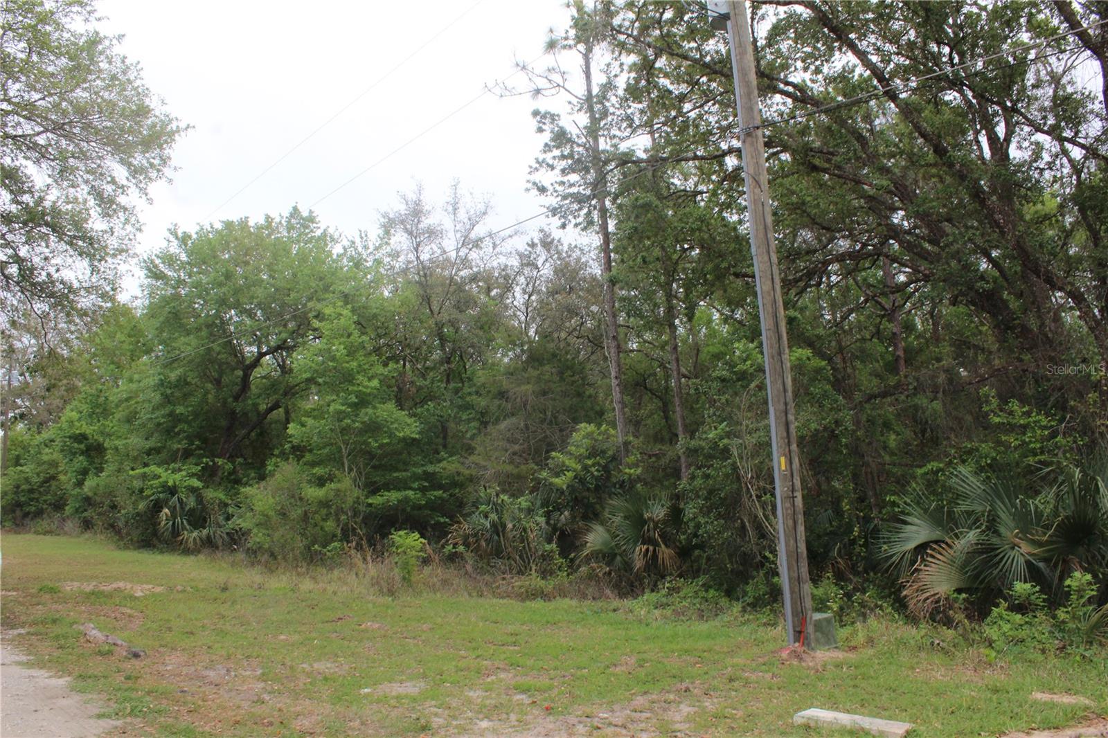 4346 CASAURINA RD, LADY LAKE, FL, 32159