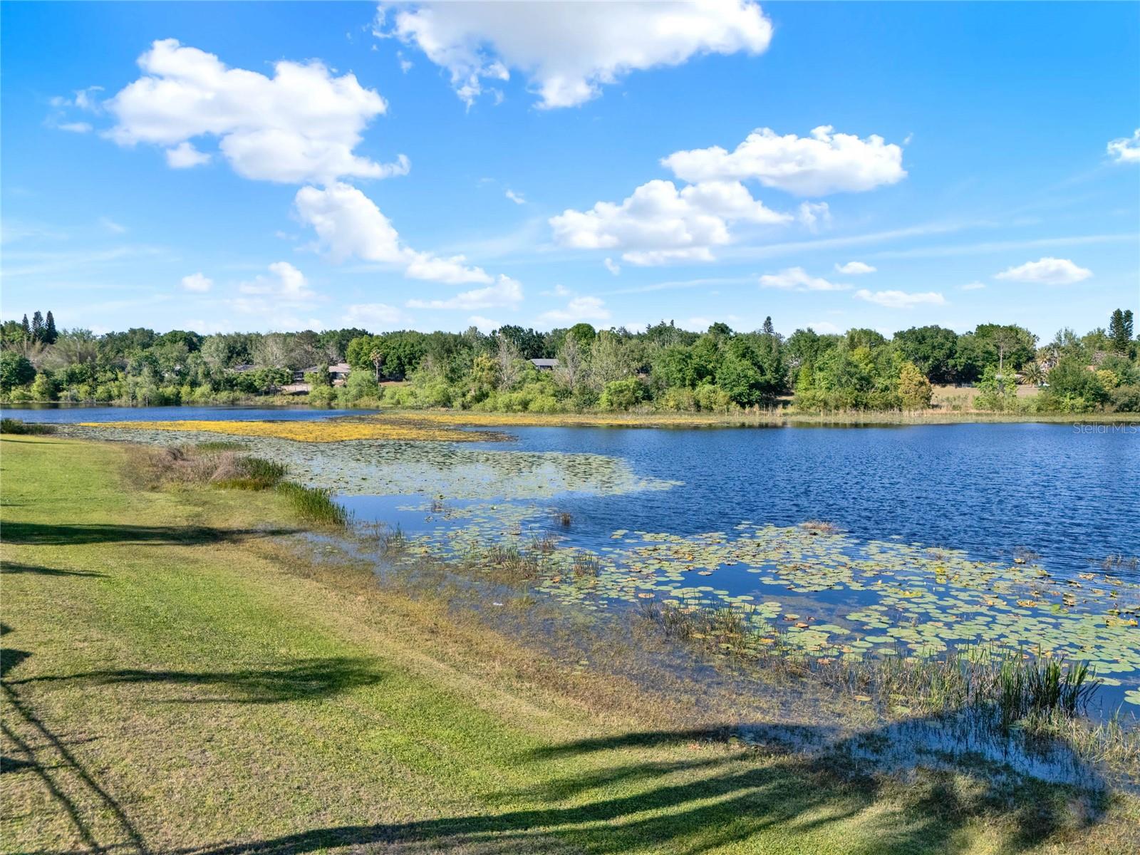 10549 VIA DE ROBINA CT, CLERMONT, FL, 34711