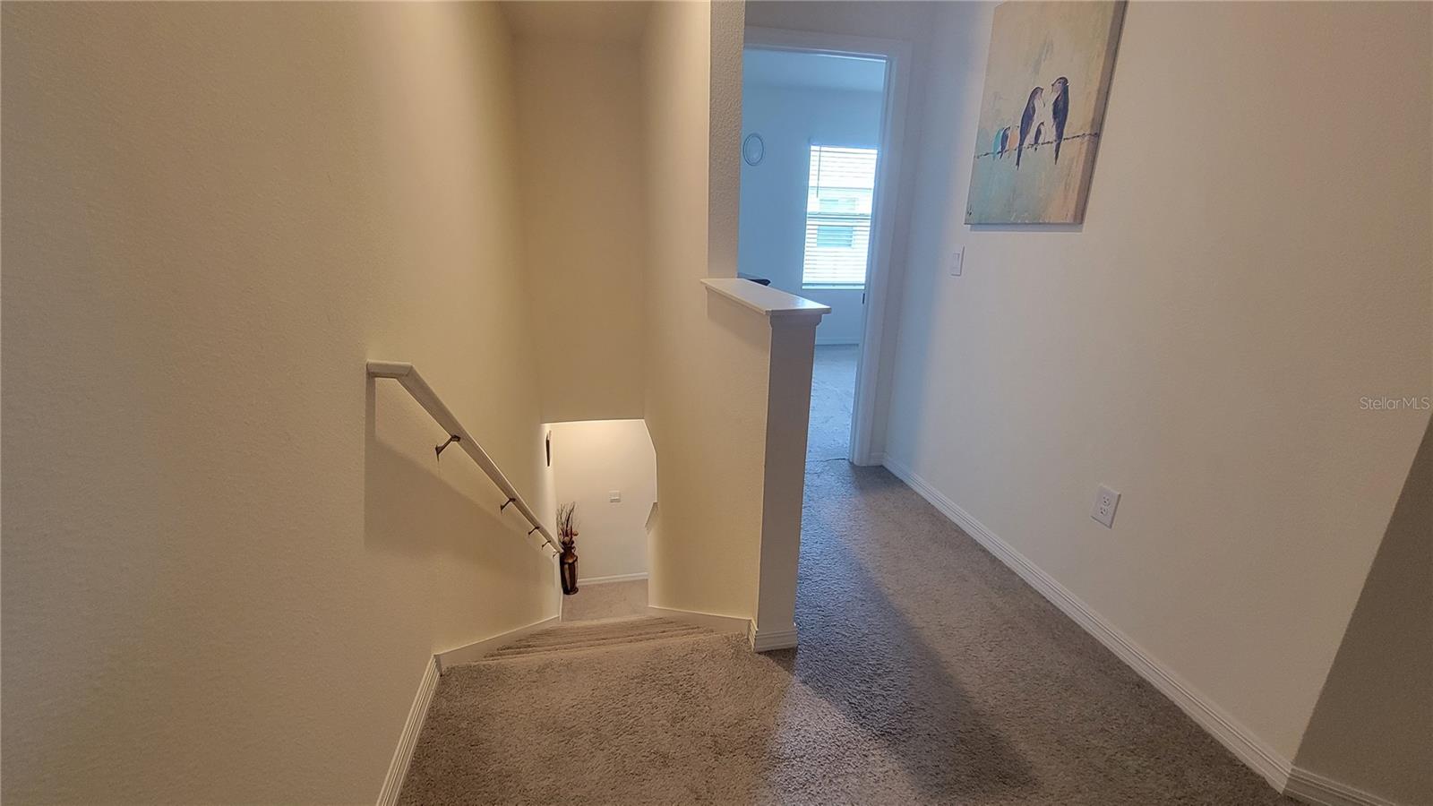 2884 EVERGREEN ELM PASS, WESLEY CHAPEL, FL, 33543