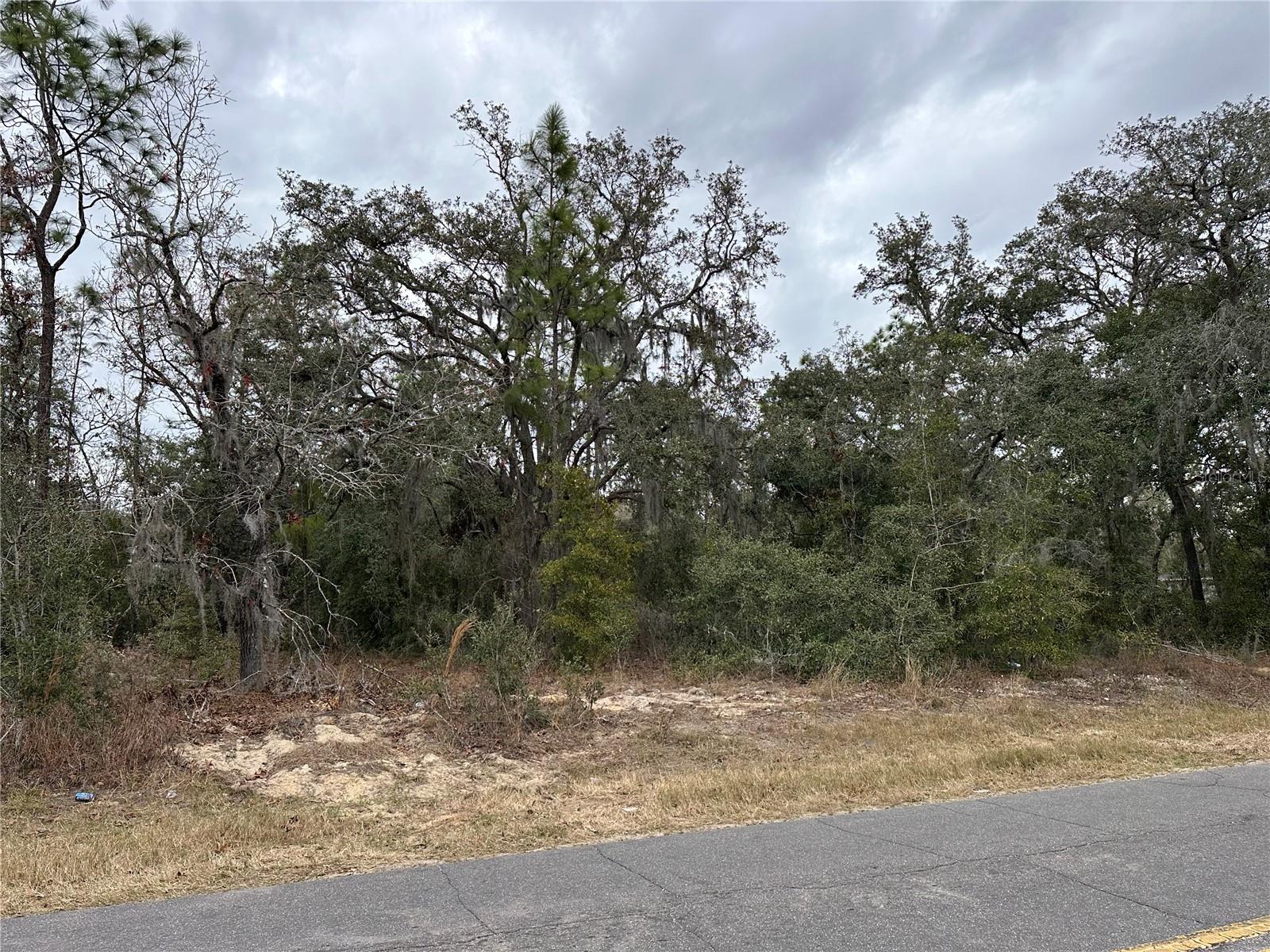 3027 E DAWSON DR, INVERNESS, FL, 34453