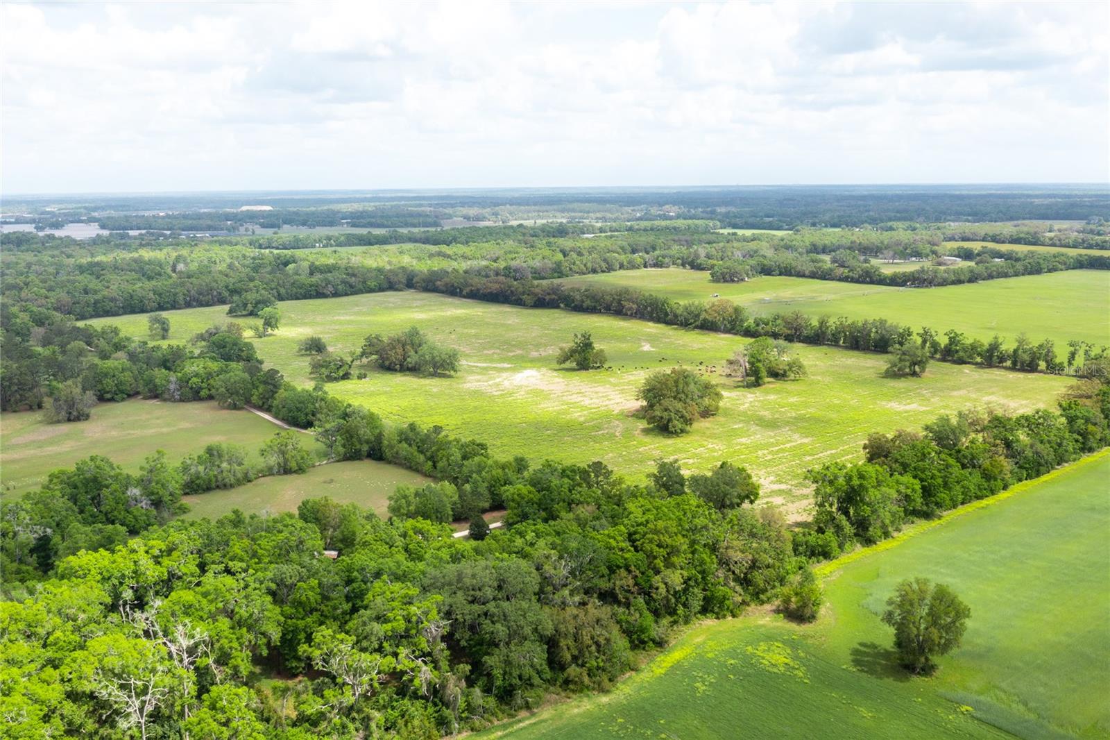 Lot 3 TBD SW 220TH DR, NEWBERRY, FL, 32669