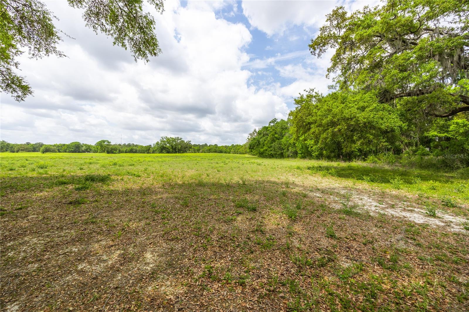 Lot 3 TBD SW 220TH DR, NEWBERRY, FL, 32669