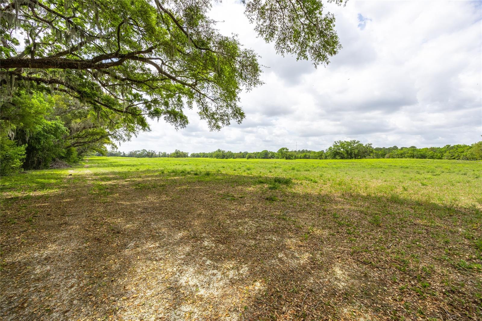 Lot 3 TBD SW 220TH DR, NEWBERRY, FL, 32669
