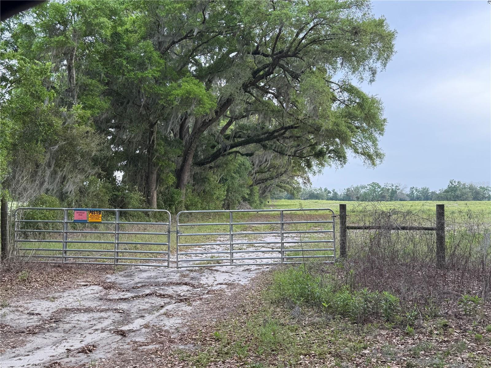 Lot 3 TBD SW 220TH DR, NEWBERRY, FL, 32669