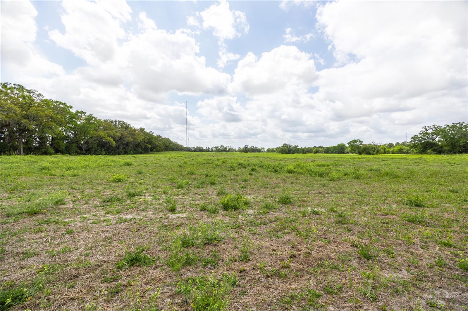 Lot 3 TBD SW 220TH DR, NEWBERRY, FL, 32669