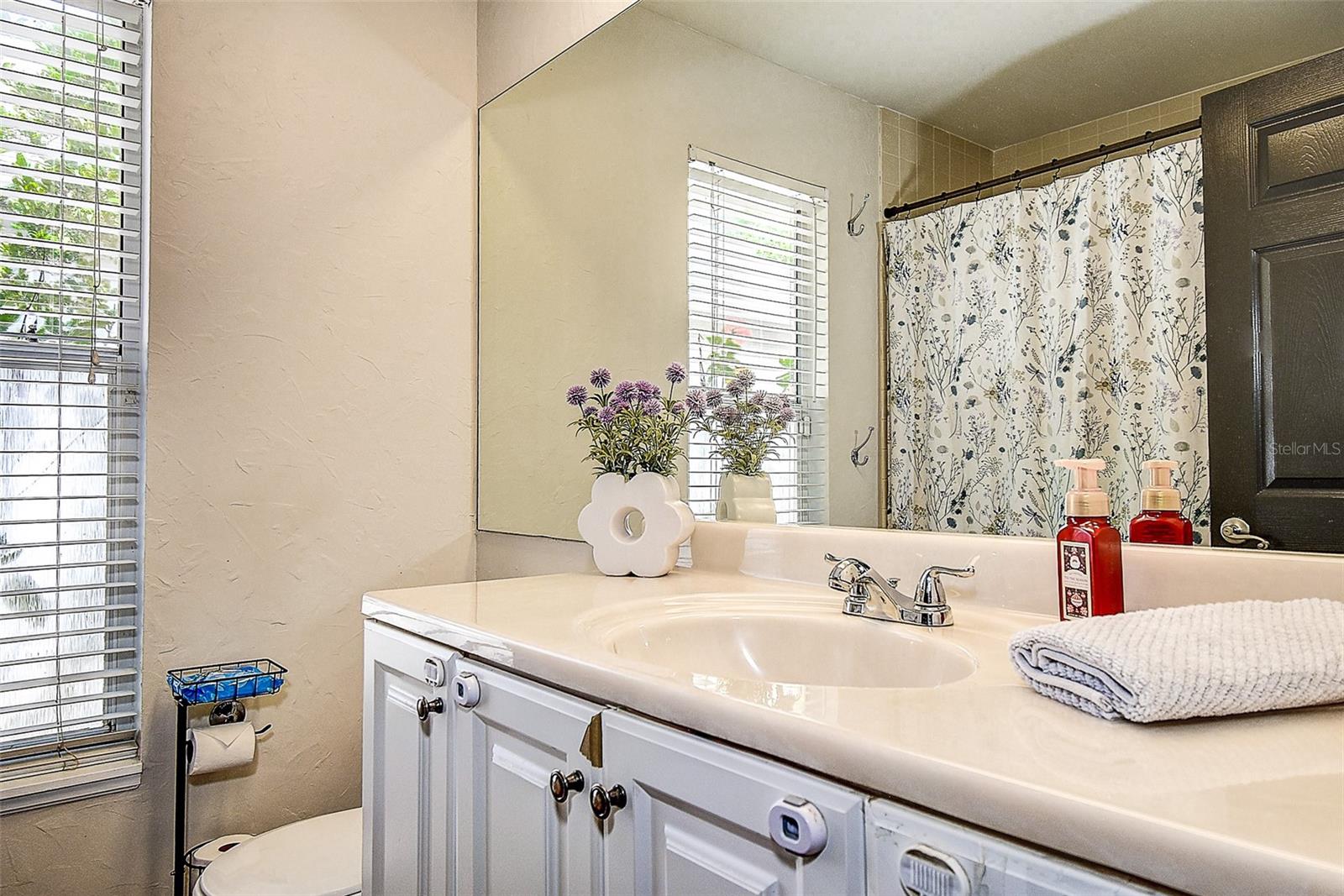 7850 LAKE PLACID LN, NEW PORT RICHEY, FL, 34655