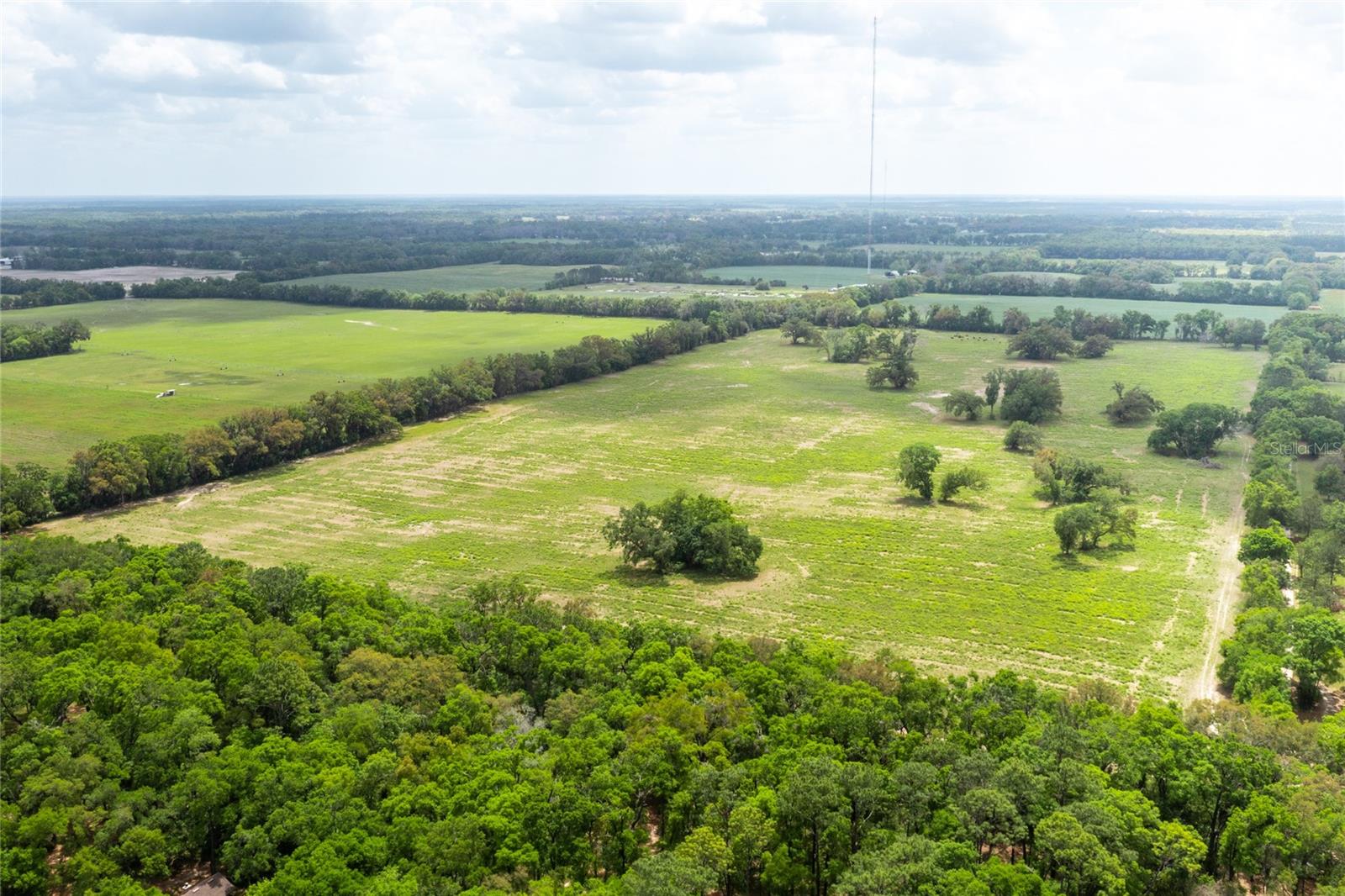 TBD SW 220TH DR, NEWBERRY, FL, 32669