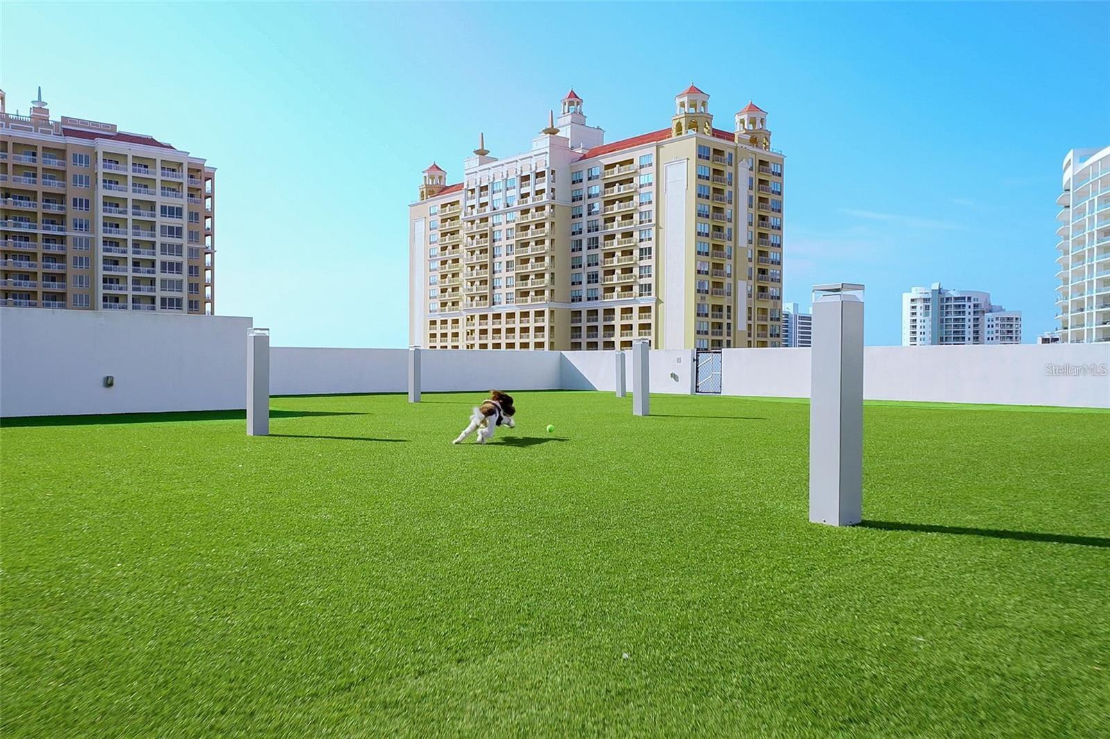 1155 N GULFSTREAM AVE #508, SARASOTA, FL, 34236