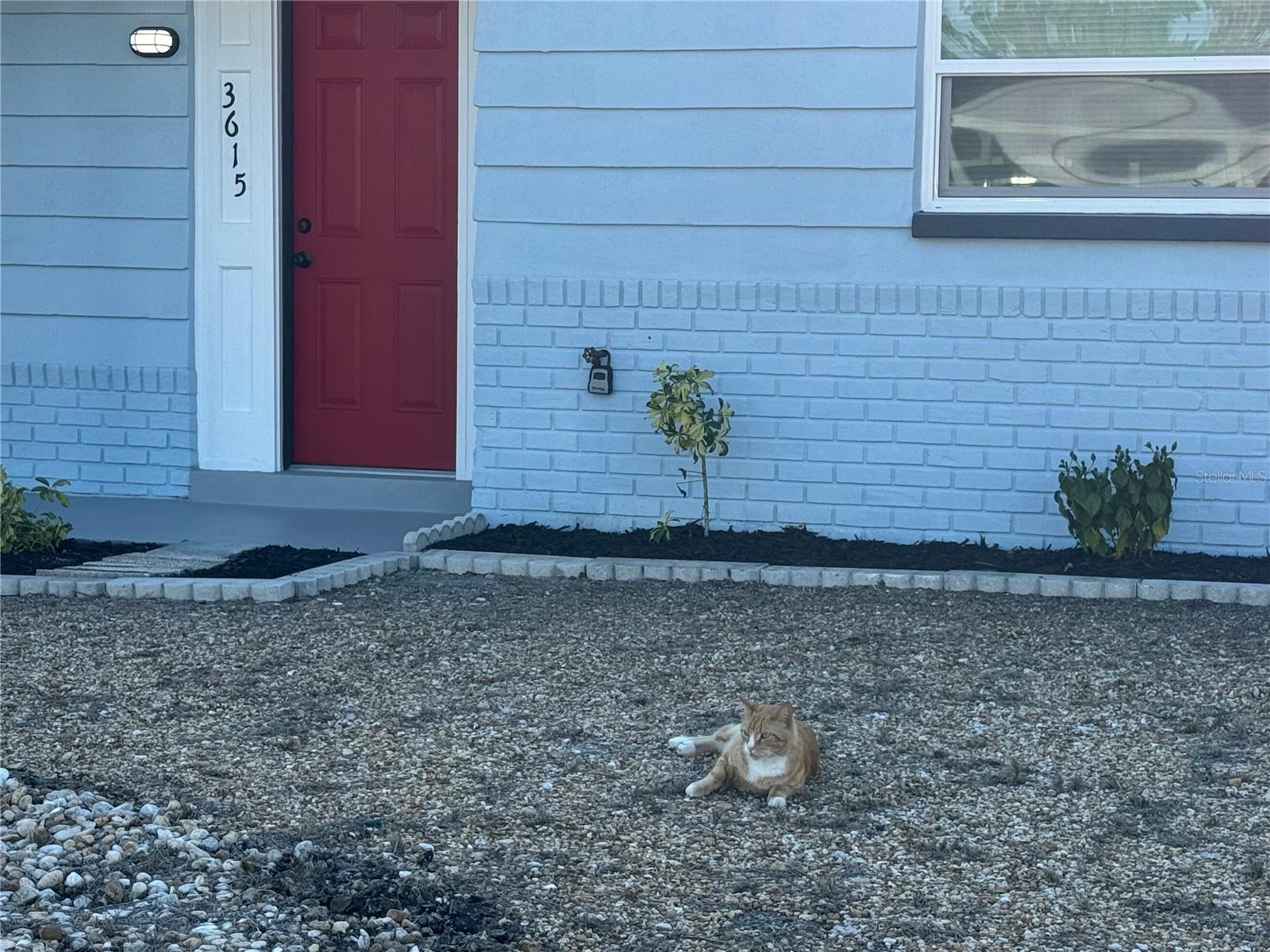 3615 KINGSBURY DR, HOLIDAY, FL, 34691