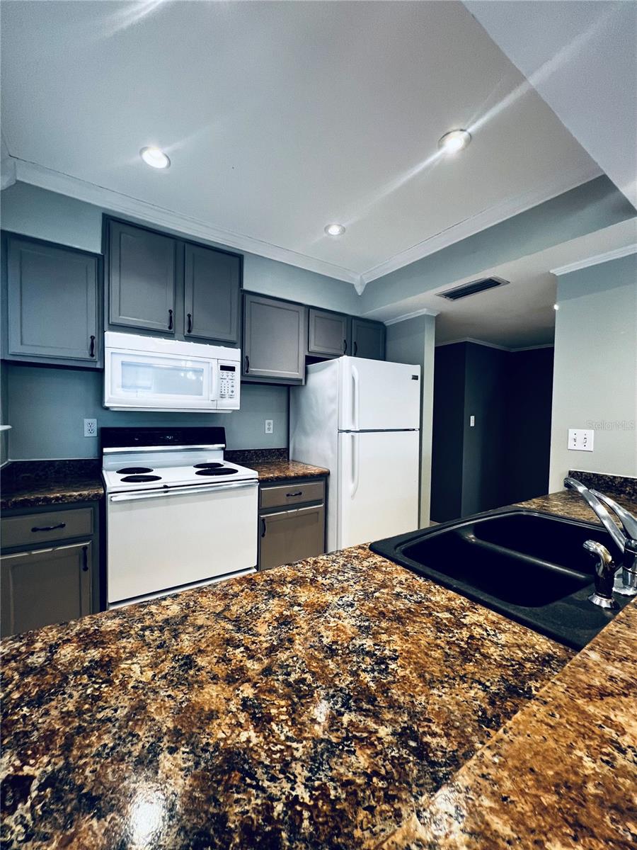 1404 OAK PL #D, APOPKA, FL, 32712