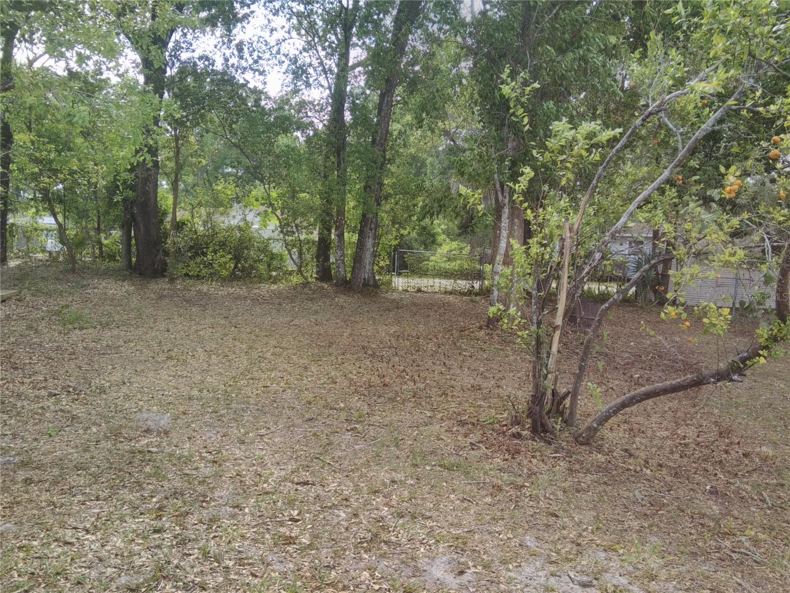 910 HARTFORD DR, DELAND, FL, 32724