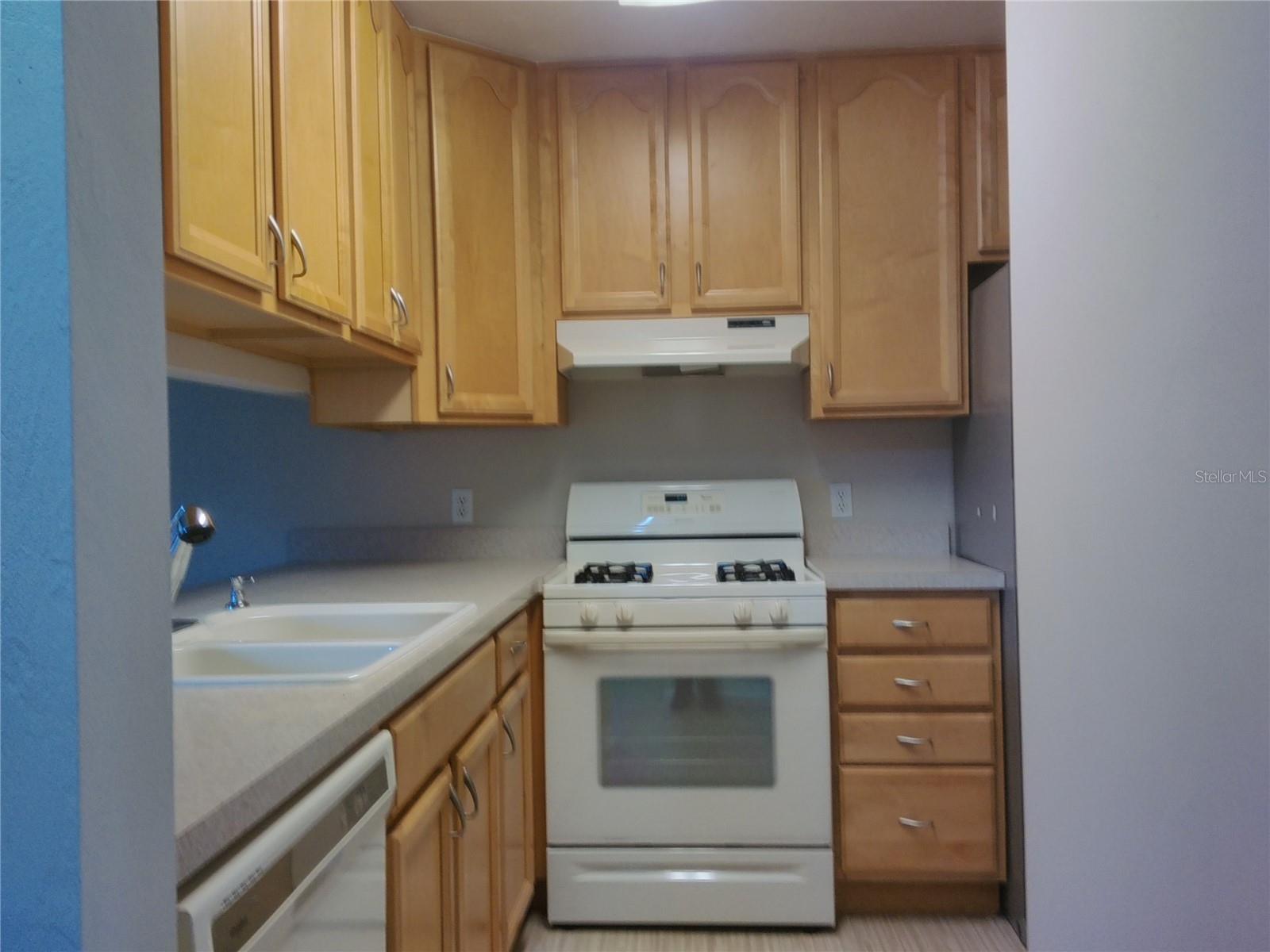 910 HARTFORD DR, DELAND, FL, 32724