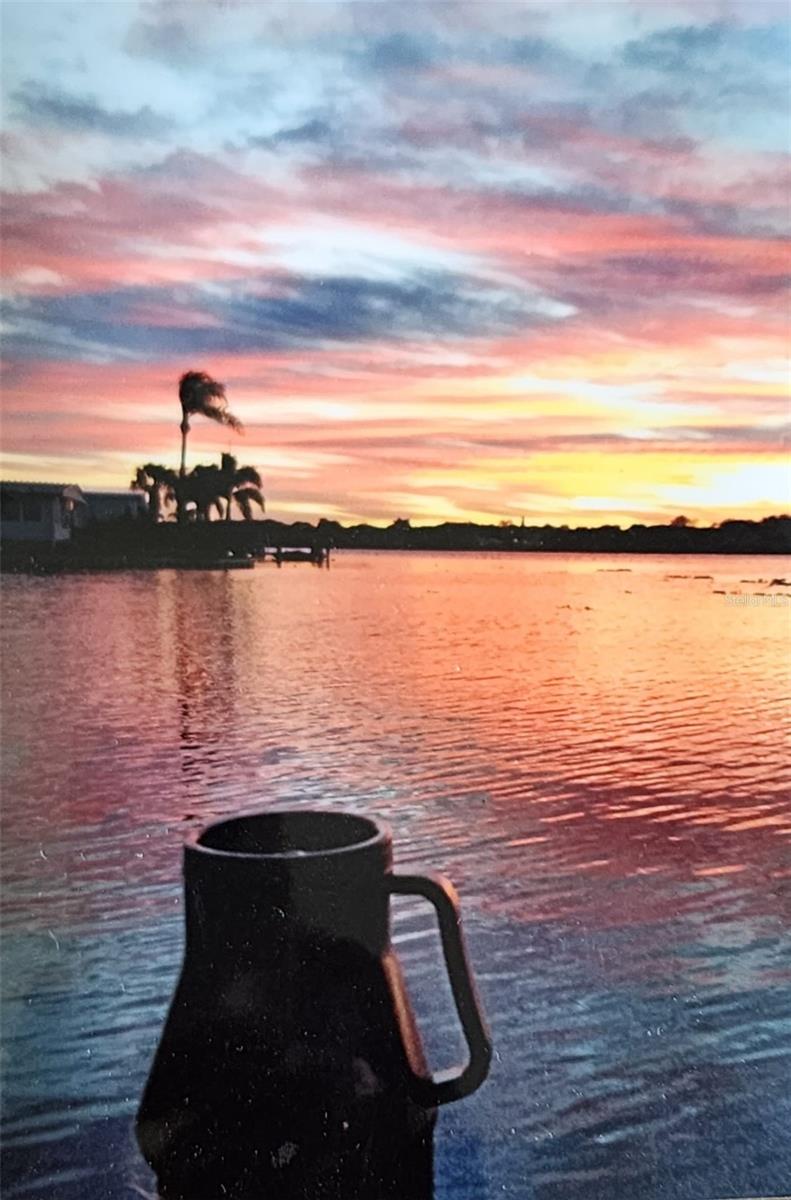 11005 101ST WAY #241, LARGO, FL, 33773