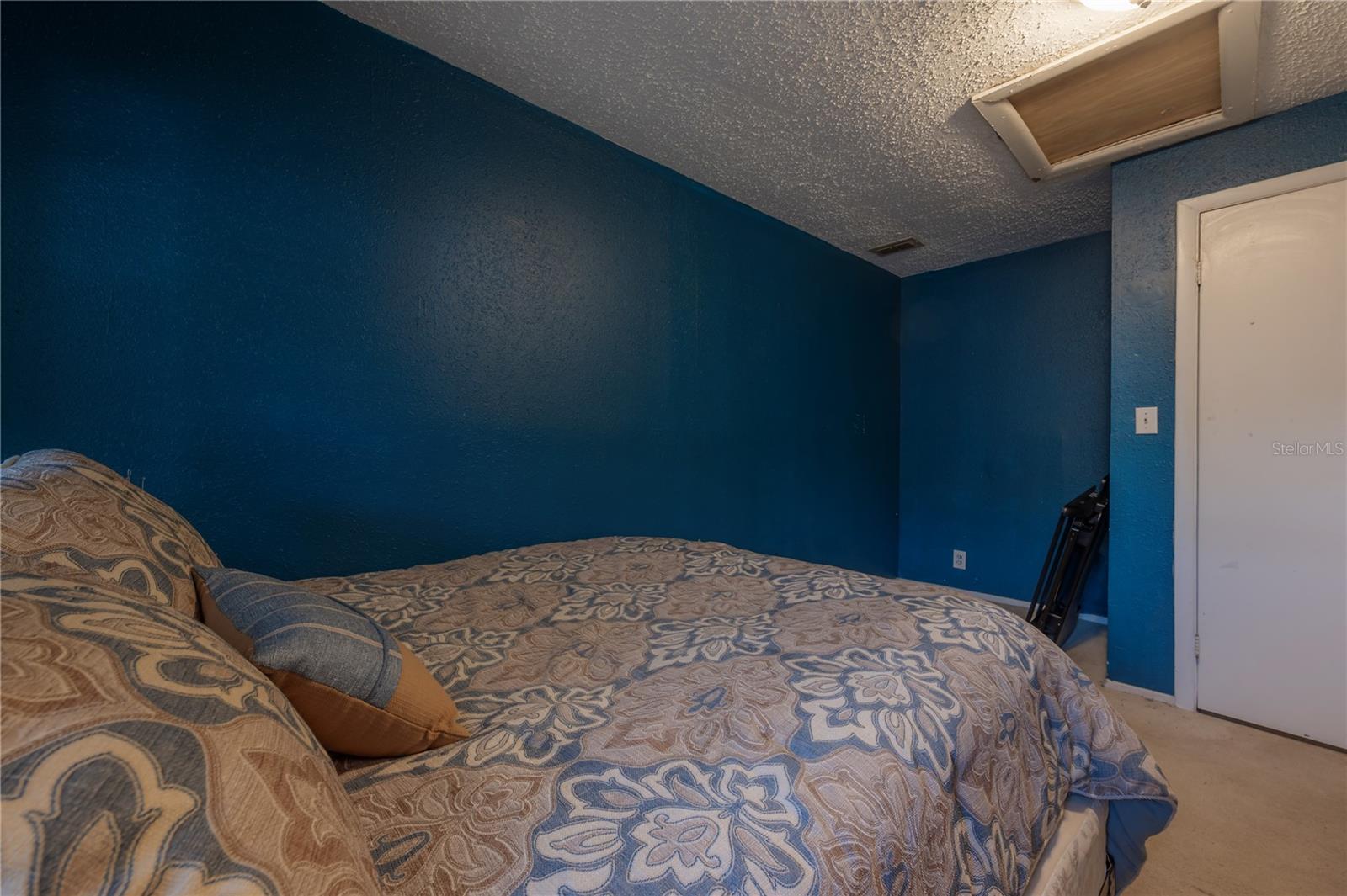 6702 N BRANCH AVE, TAMPA, FL, 33604