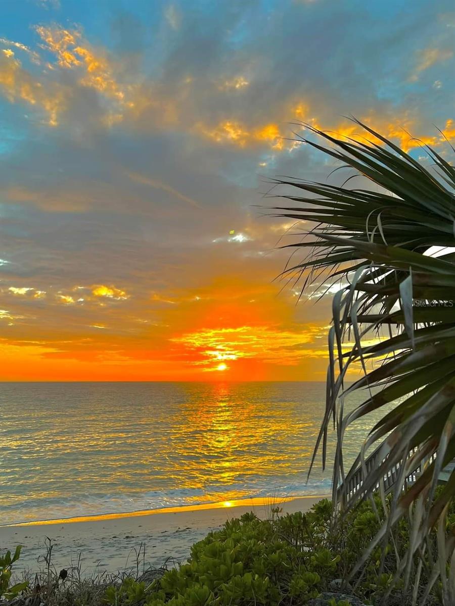 4383 LONGMEADOW #6, SARASOTA, FL, 34235