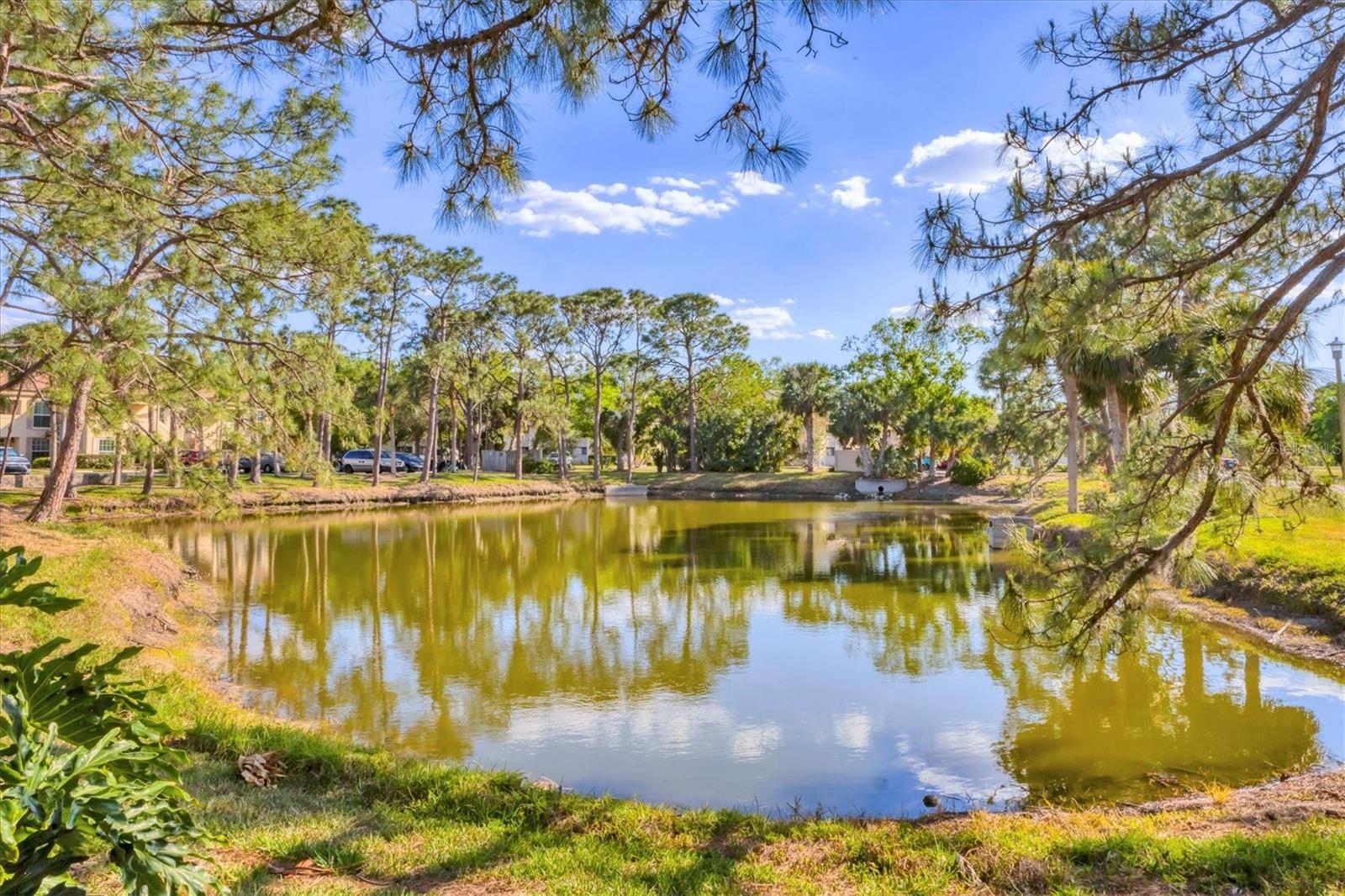 4383 LONGMEADOW #6, SARASOTA, FL, 34235