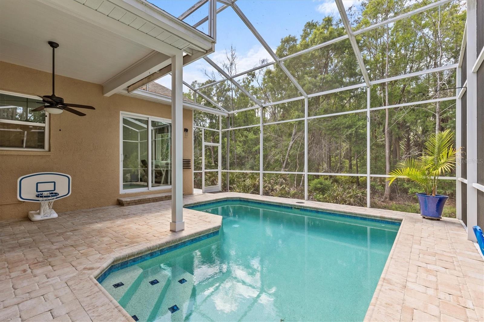 1889 WOOD OWL ST, TARPON SPRINGS, FL, 34689