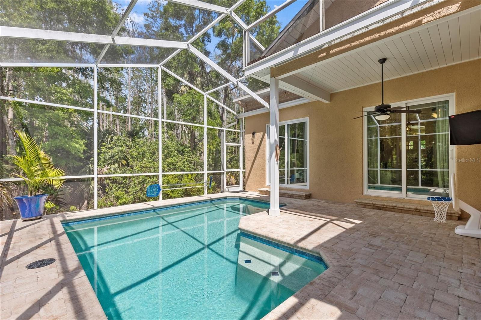 1889 WOOD OWL ST, TARPON SPRINGS, FL, 34689