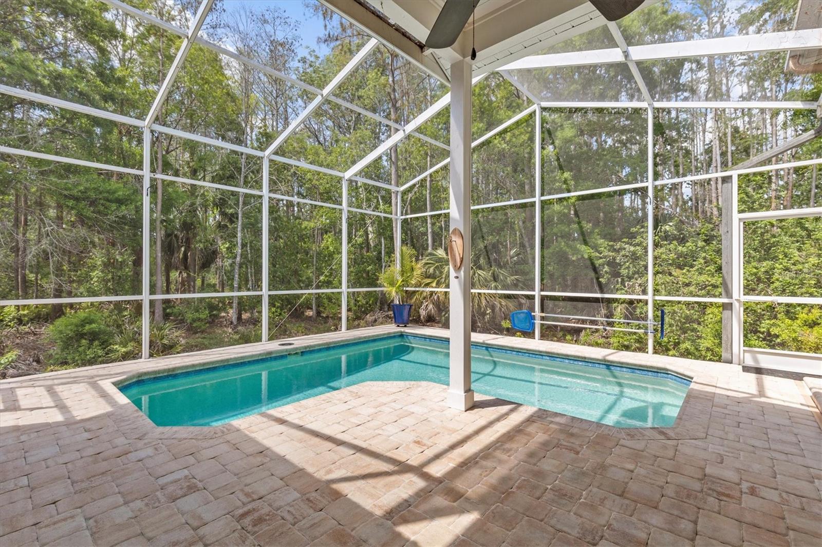 1889 WOOD OWL ST, TARPON SPRINGS, FL, 34689