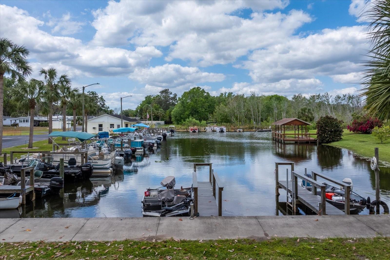 11306 CUCKOO DR, LEESBURG, FL, 34788