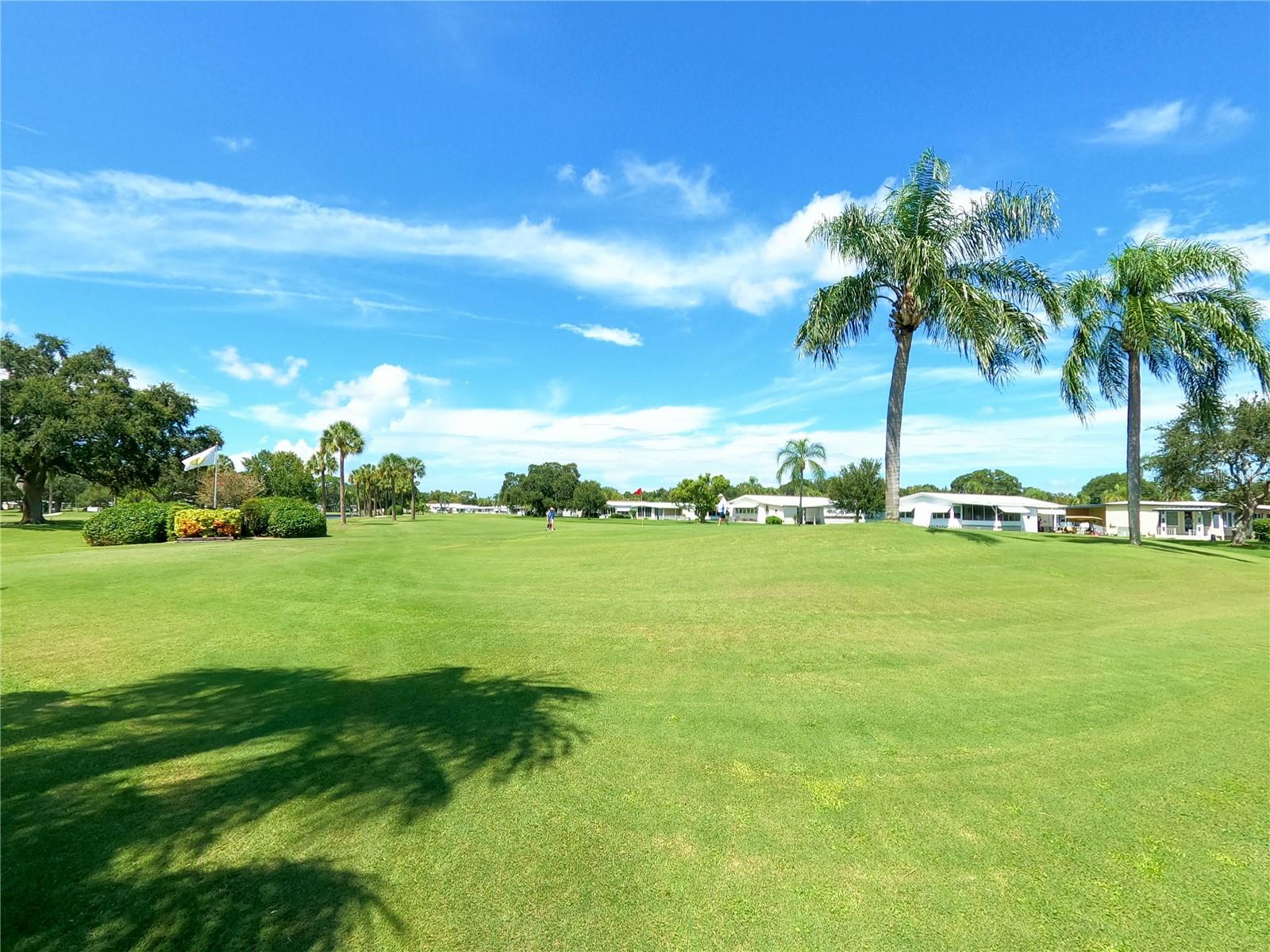 1100 BELCHER RD S #512, LARGO, FL, 33771