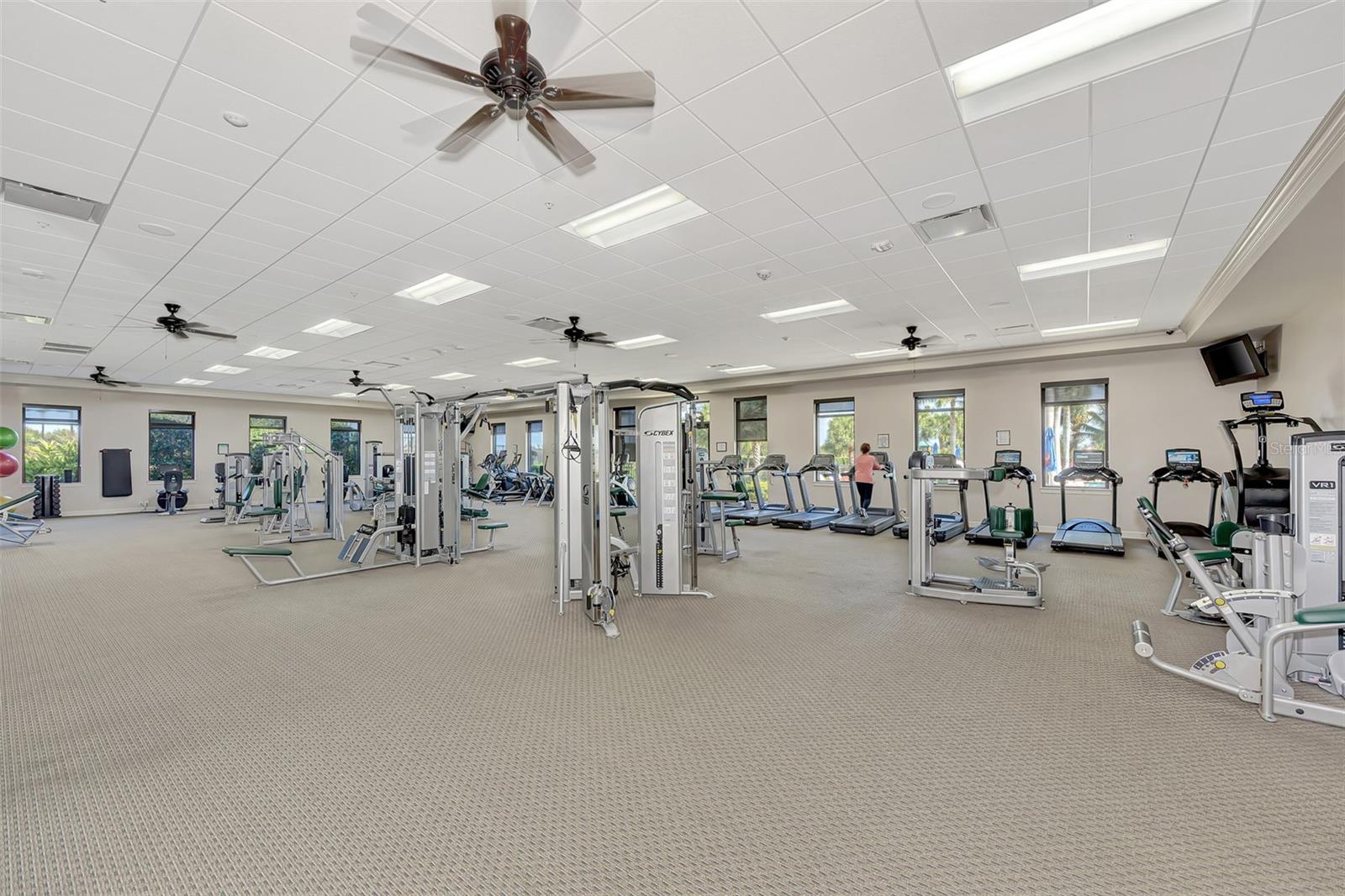 24181 GALLBERRY DR, VENICE, FL, 34293