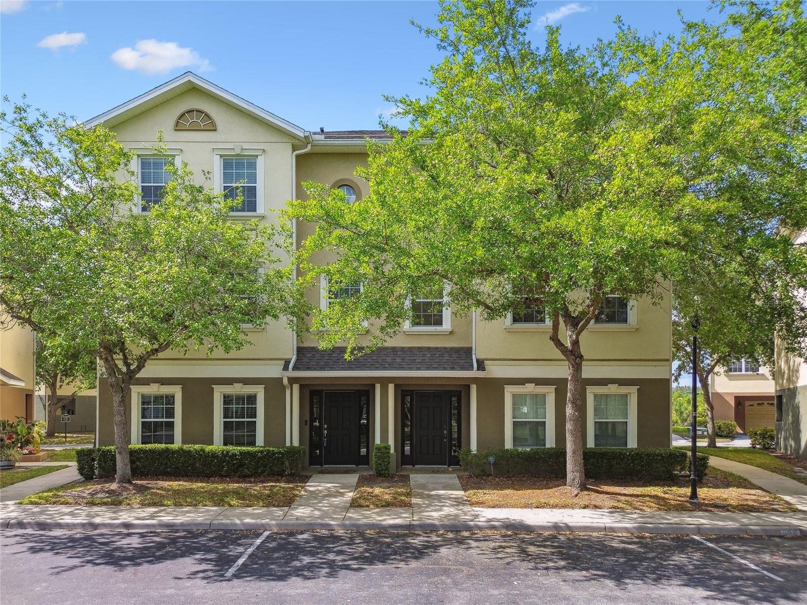 10144 ARBOR RUN DR #157, TAMPA, FL, 33647