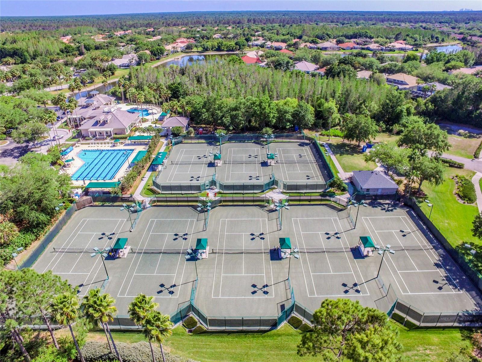 10144 ARBOR RUN DR #157, TAMPA, FL, 33647