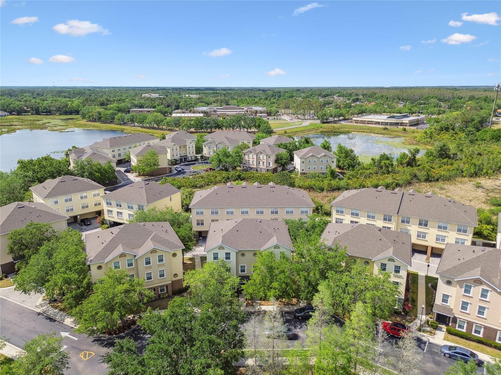 10144 ARBOR RUN DR #157, TAMPA, FL, 33647