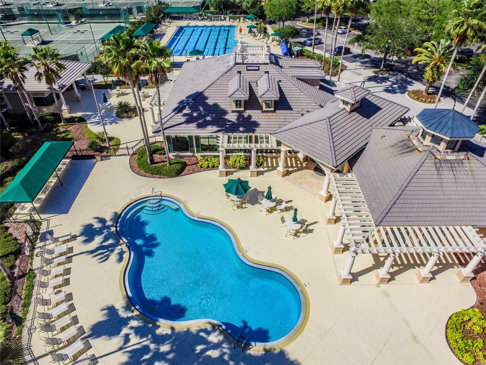 10144 ARBOR RUN DR #157, TAMPA, FL, 33647