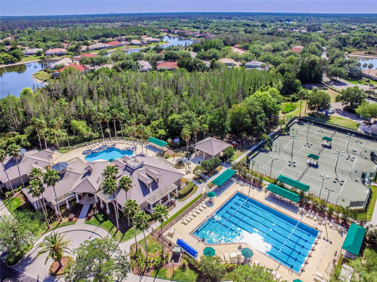 10144 ARBOR RUN DR #157, TAMPA, FL, 33647