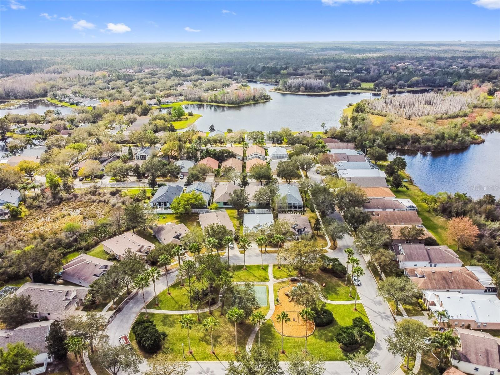 10144 ARBOR RUN DR #157, TAMPA, FL, 33647