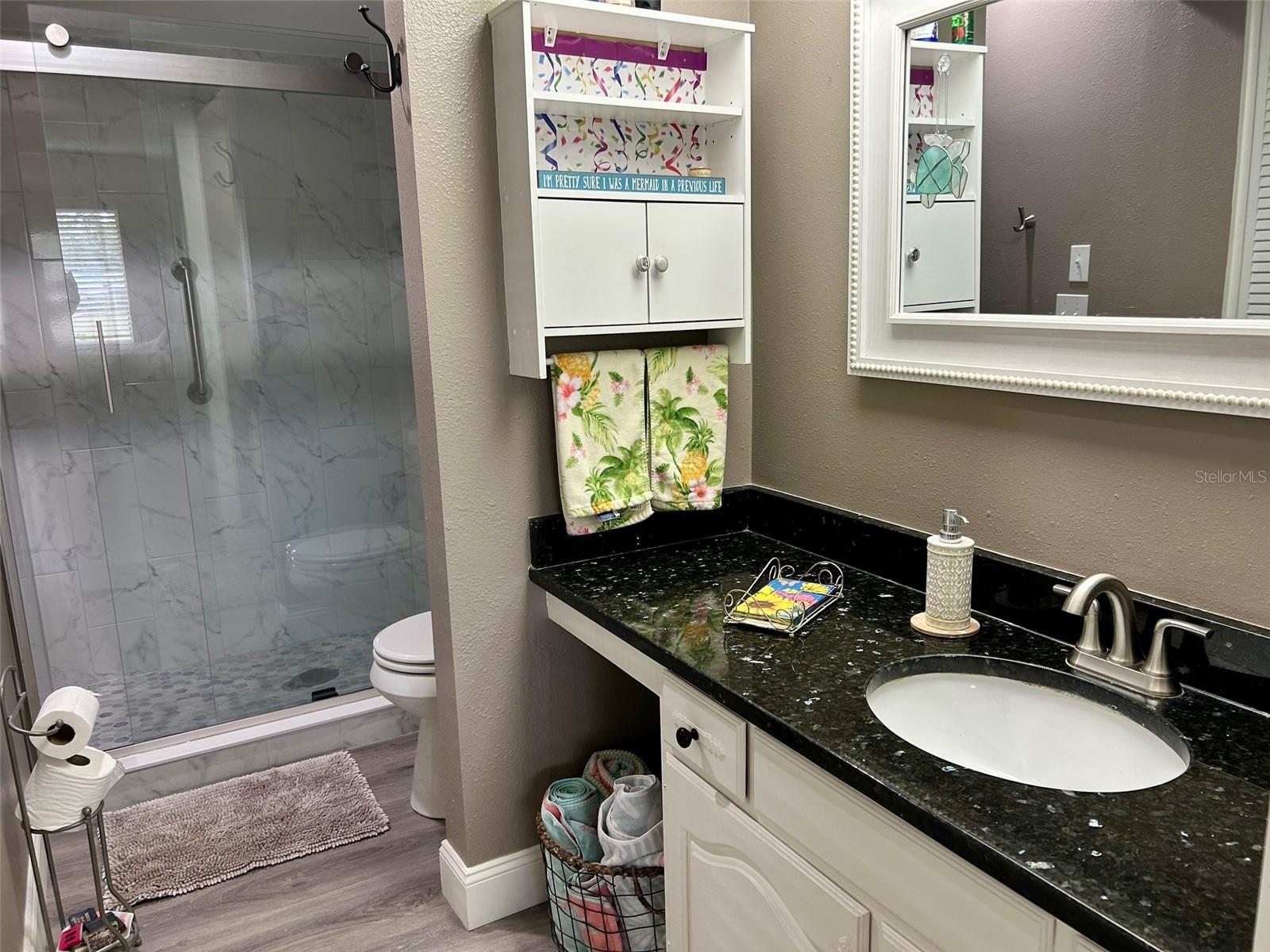 2250 SEQUOIA DR, CLEARWATER, FL, 33763