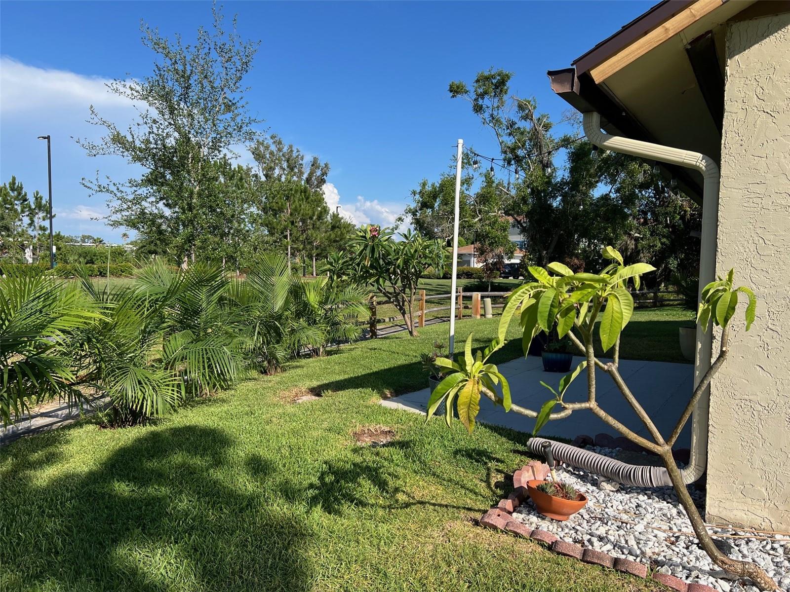 2250 SEQUOIA DR, CLEARWATER, FL, 33763