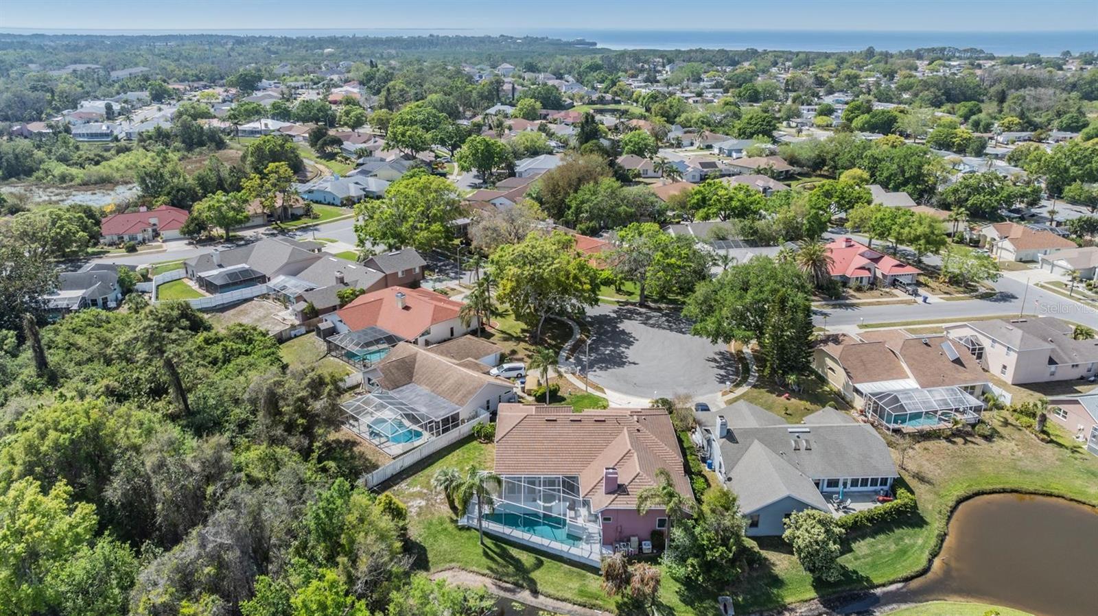 3136 SANDHILL DR, HOLIDAY, FL, 34691