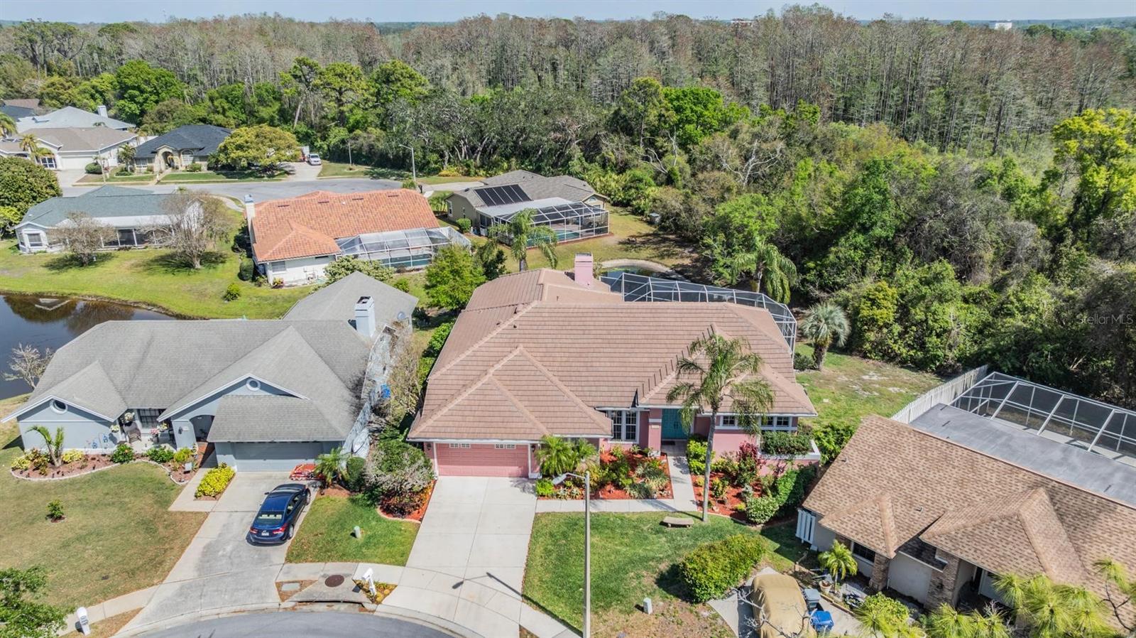 3136 SANDHILL DR, HOLIDAY, FL, 34691