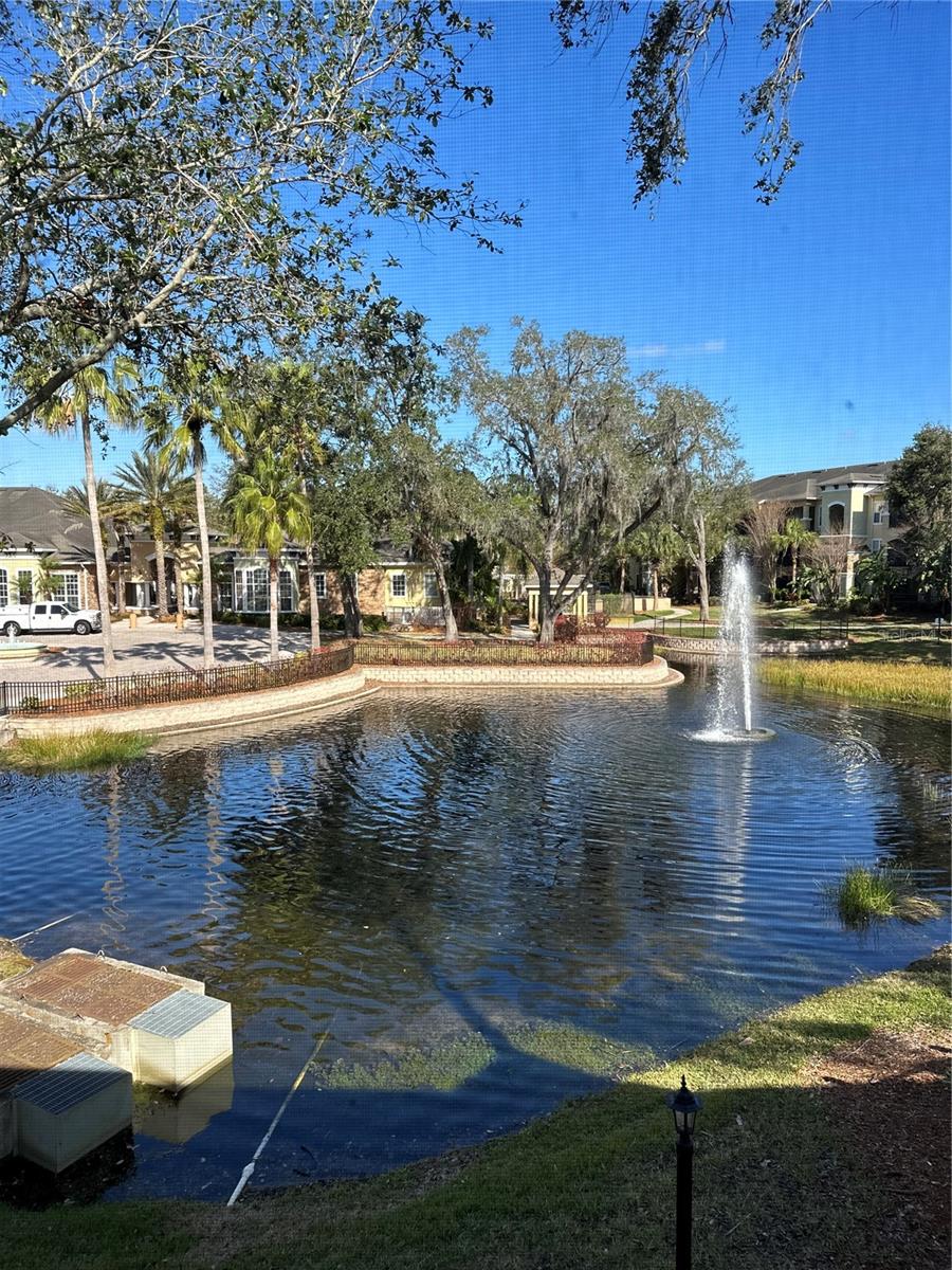 10102 COURTNEY OAKS CIR #202, TAMPA, FL, 33619