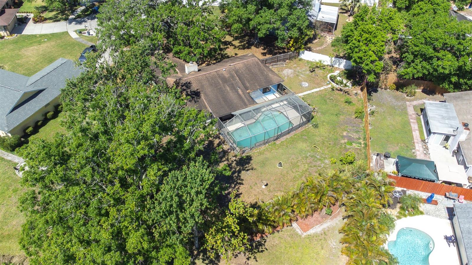 12503 TWISTED OAK DR, TAMPA, FL, 33624