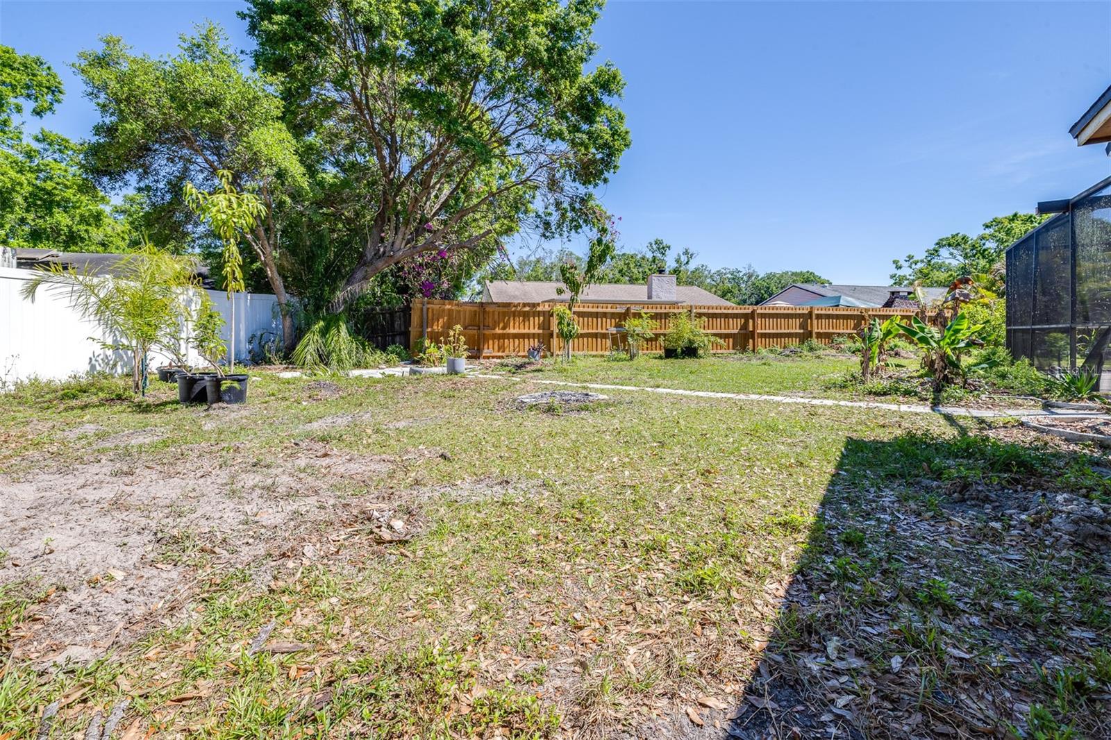 12503 TWISTED OAK DR, TAMPA, FL, 33624