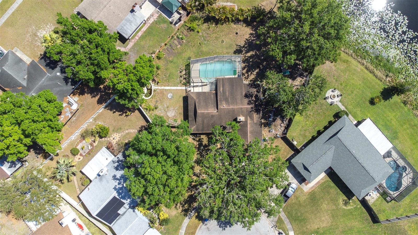 12503 TWISTED OAK DR, TAMPA, FL, 33624