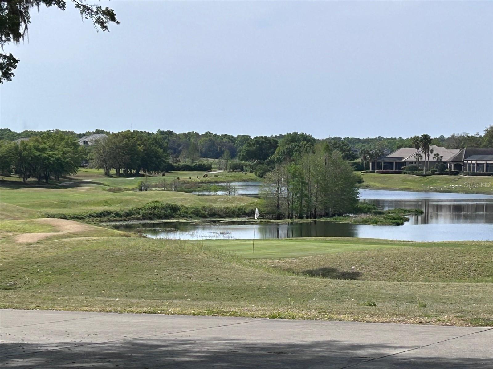 25962 HIGH HAMPTON CIR, SORRENTO, FL, 32776