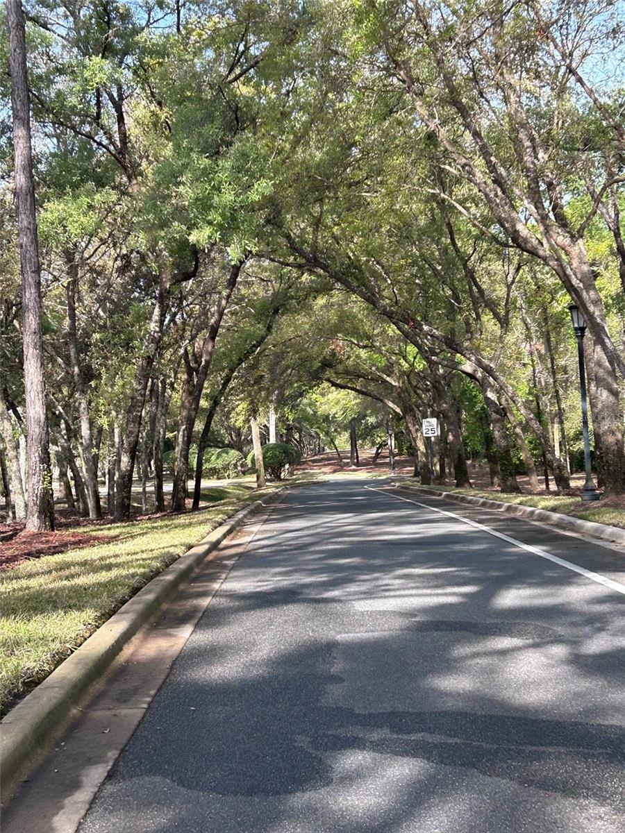 25962 HIGH HAMPTON CIR, SORRENTO, FL, 32776