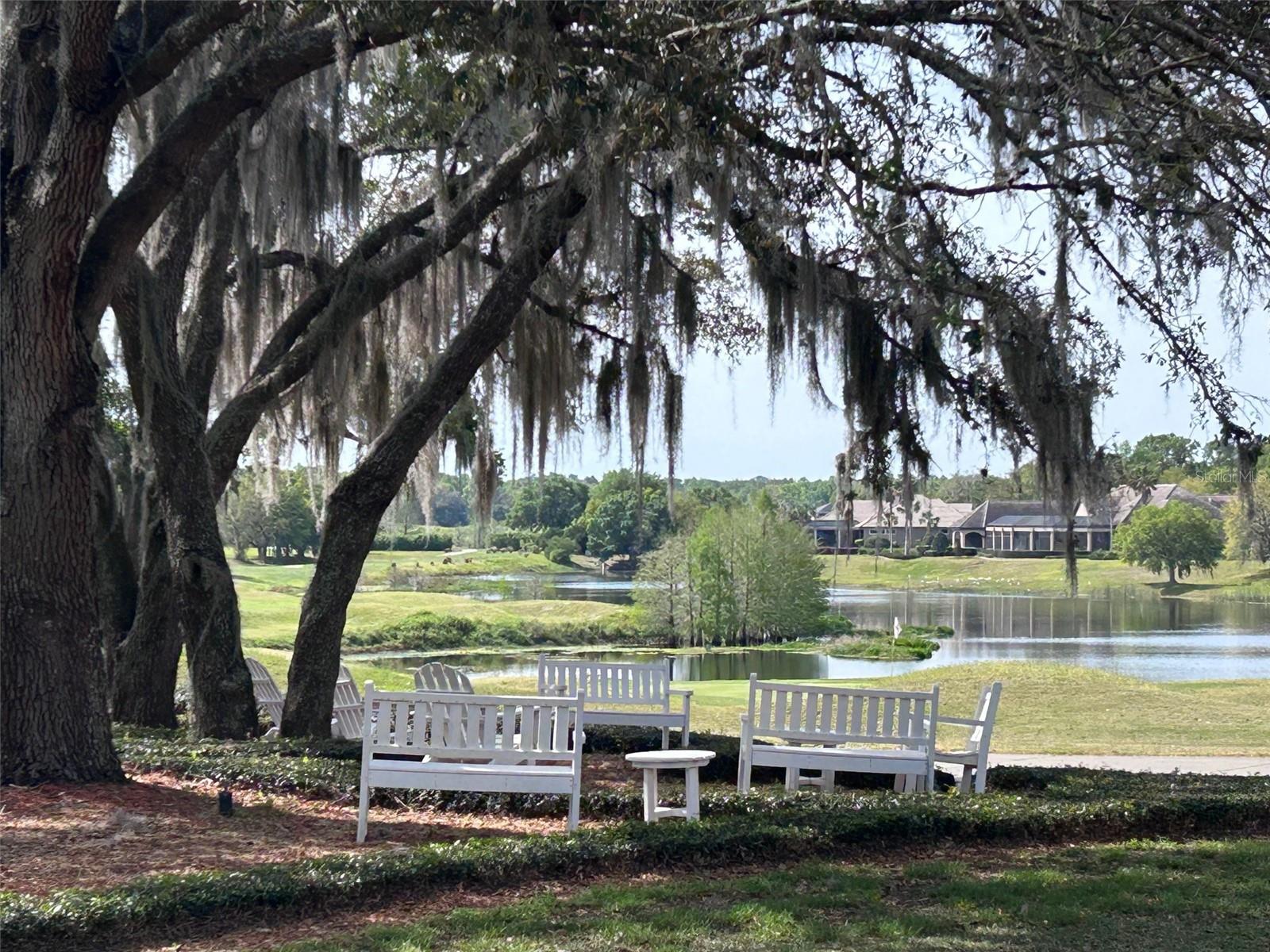 25962 HIGH HAMPTON CIR, SORRENTO, FL, 32776