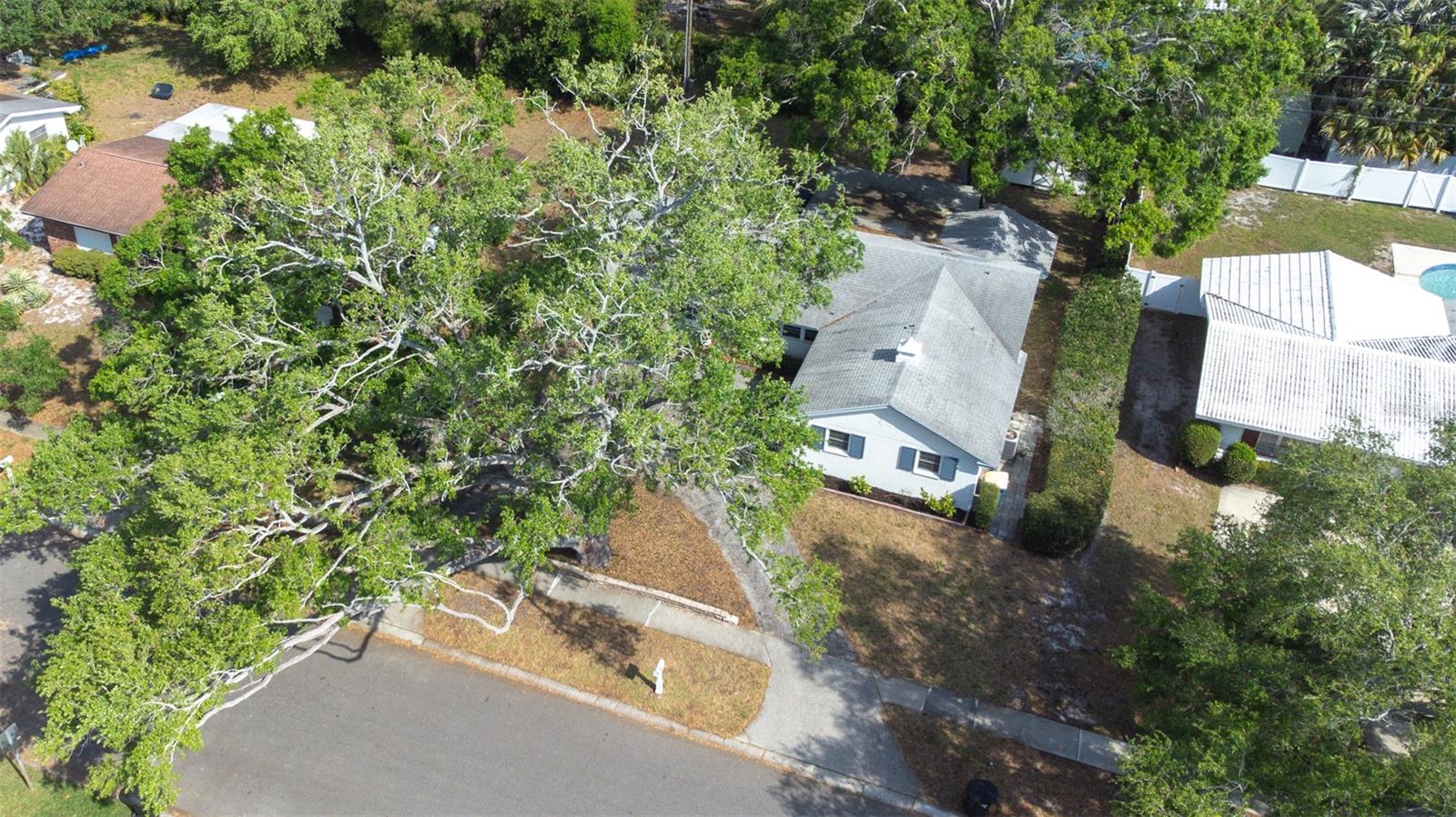 2244 GLENMOOR RD N, CLEARWATER, FL, 33764