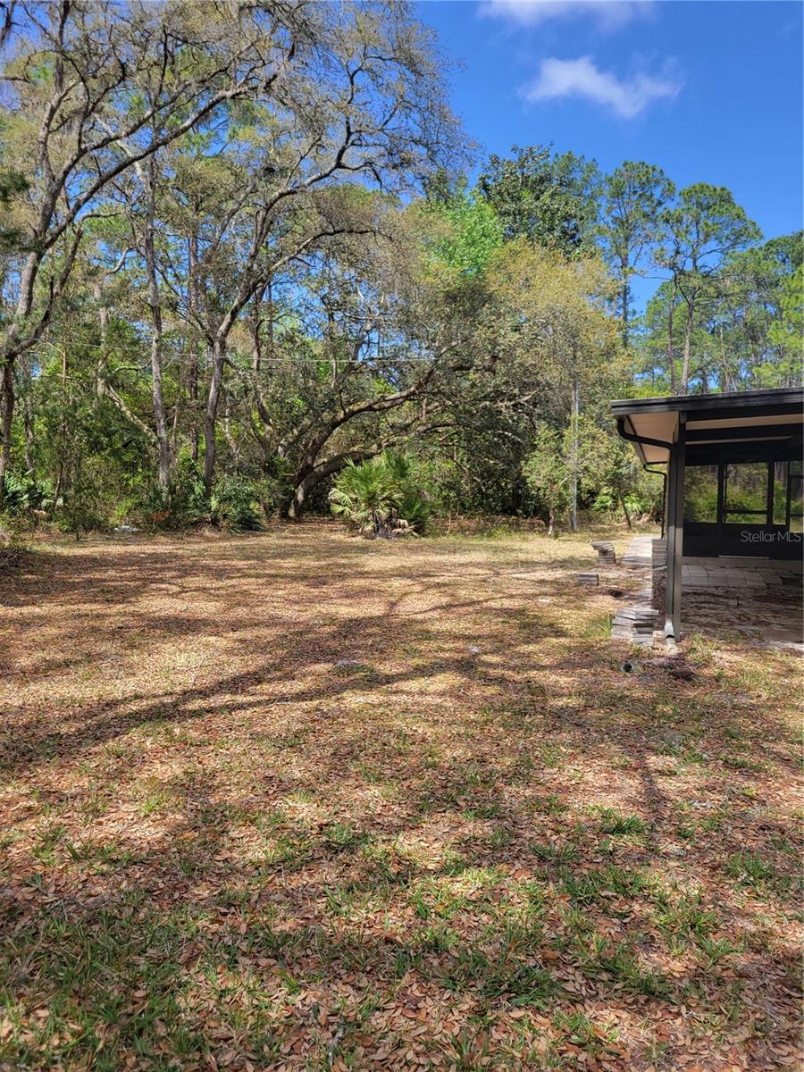 105 HYACINTH COURT, GEORGETOWN, FL, 32139