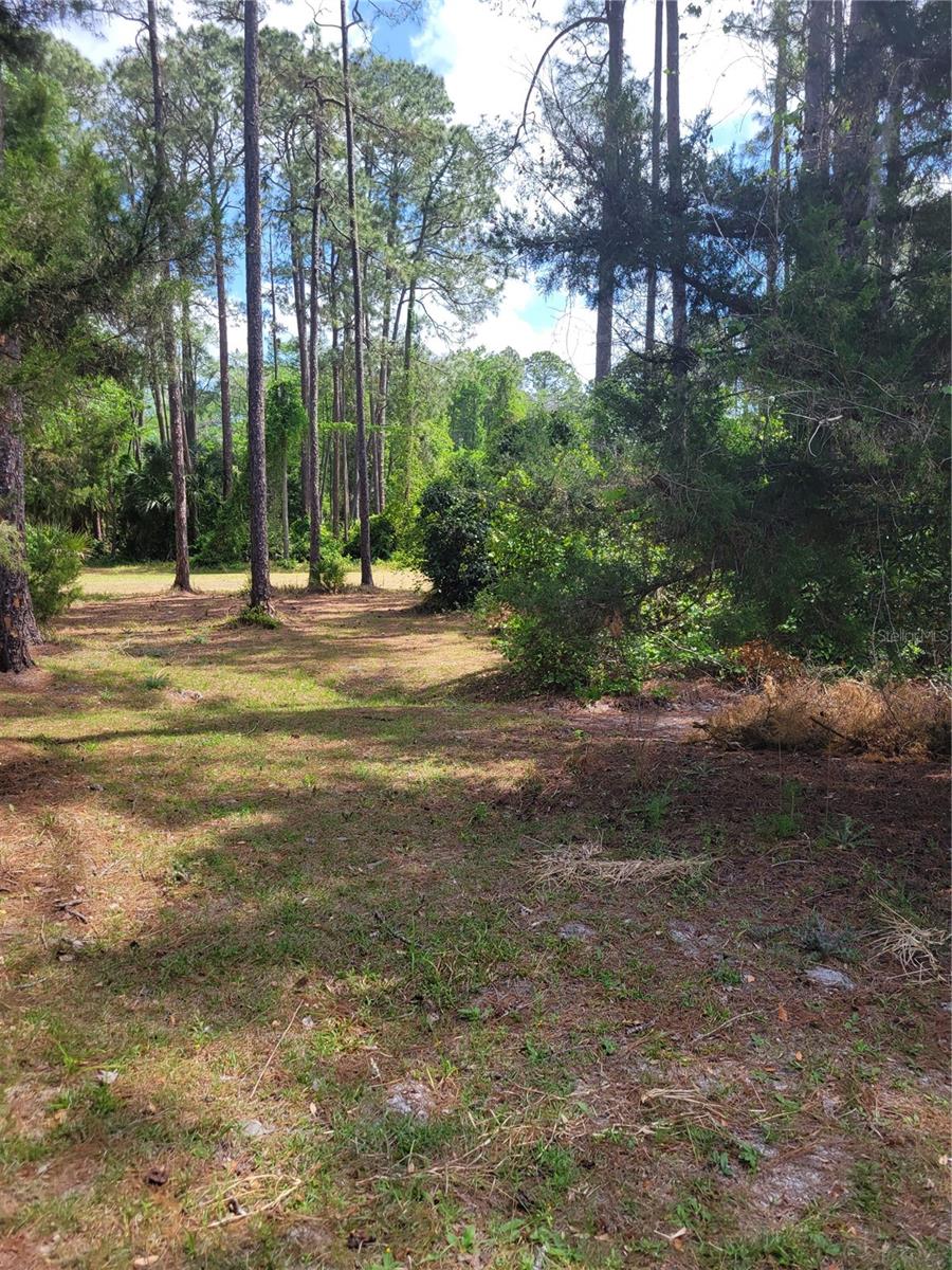 105 HYACINTH COURT, GEORGETOWN, FL, 32139