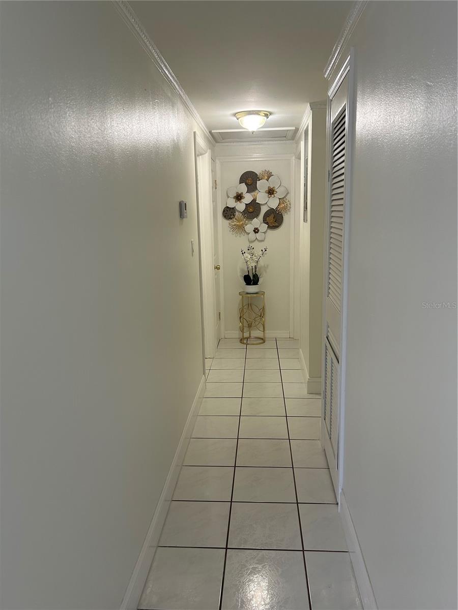 6701 CLIFTON ST, TAMPA, FL, 33634