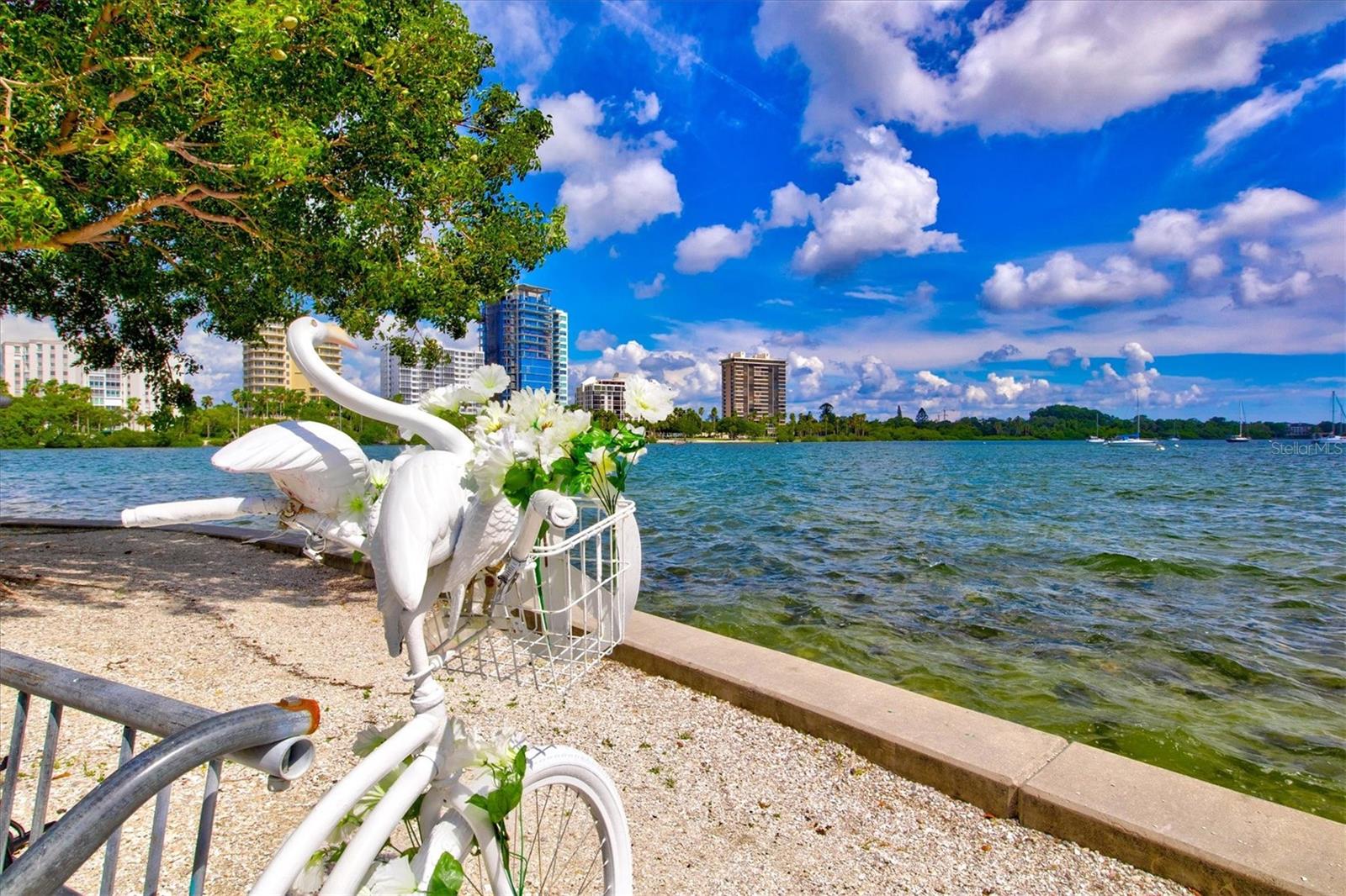 4178 CENTRAL SARASOTA PKWY #325, SARASOTA, FL, 34238